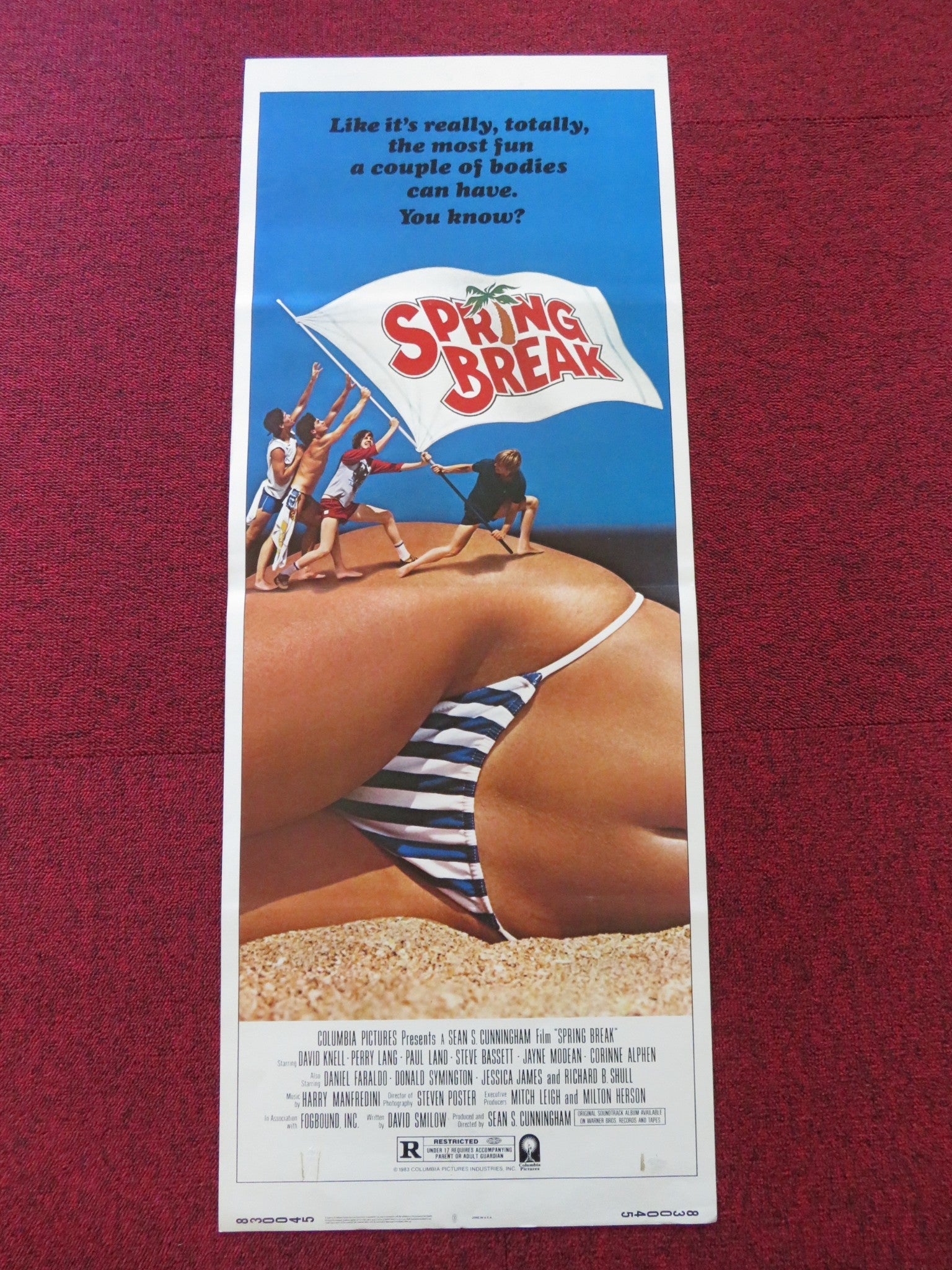 SPRING BREAK US INSERT (14"x 36") POSTER DAVID KNELL PERRY LANG 1983 Rendezvous Cinema Movie posters