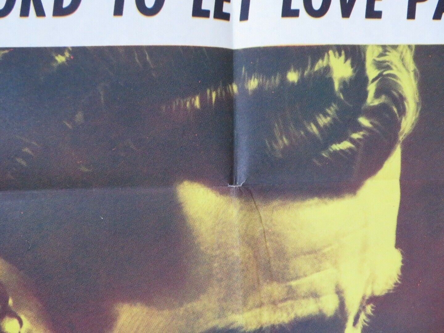 SPRING REUNION FOLDED US ONE SHEET POSTER JEAN HAGEN SRA BERNER 1957 Movie posters