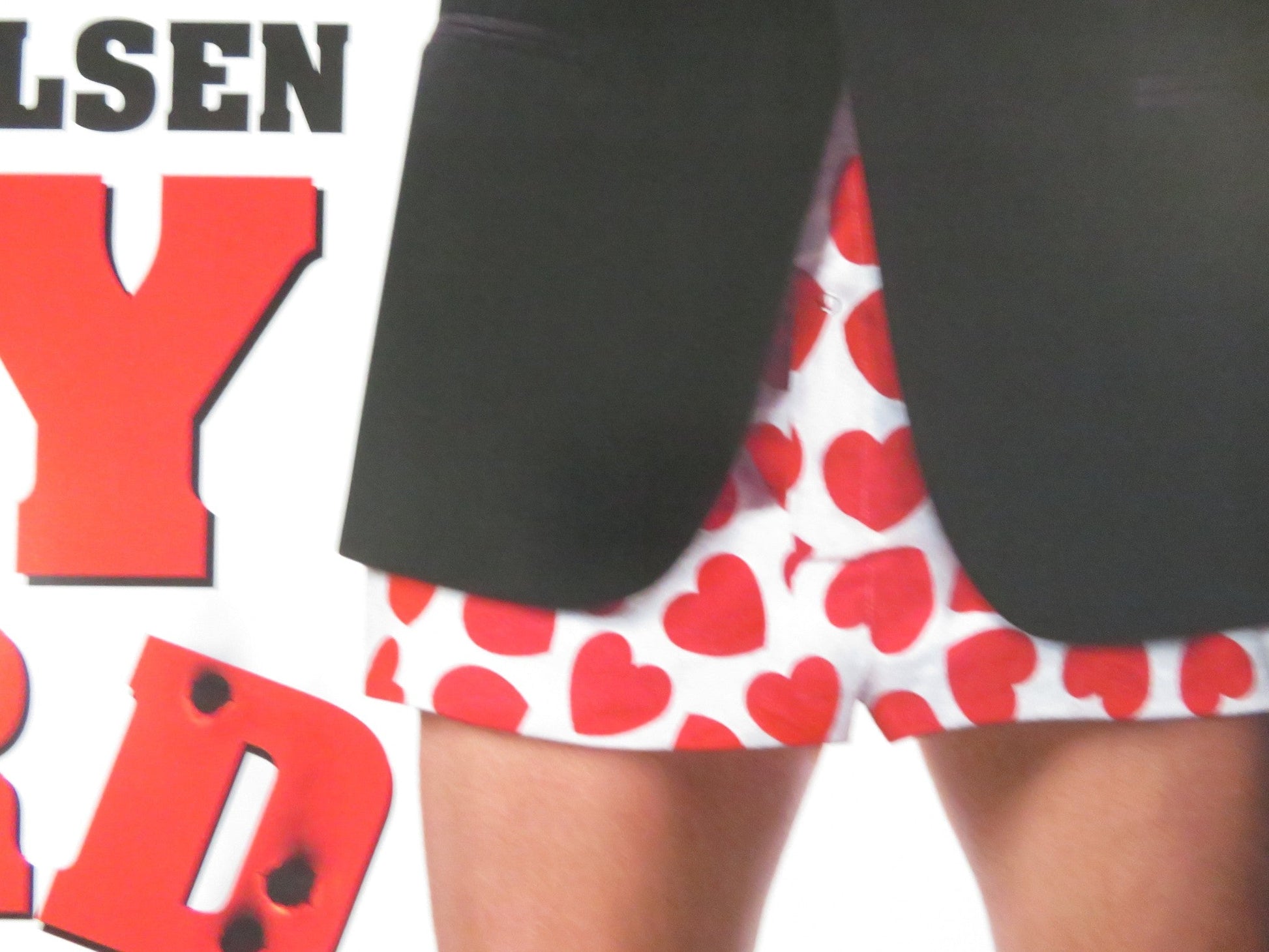 SPY HARD INTERNATIONAL ONE SHEET ROLLED POSTER LESLIE NIELSEN C. DURNING 1996 Rendezvous Cinema Movie posters