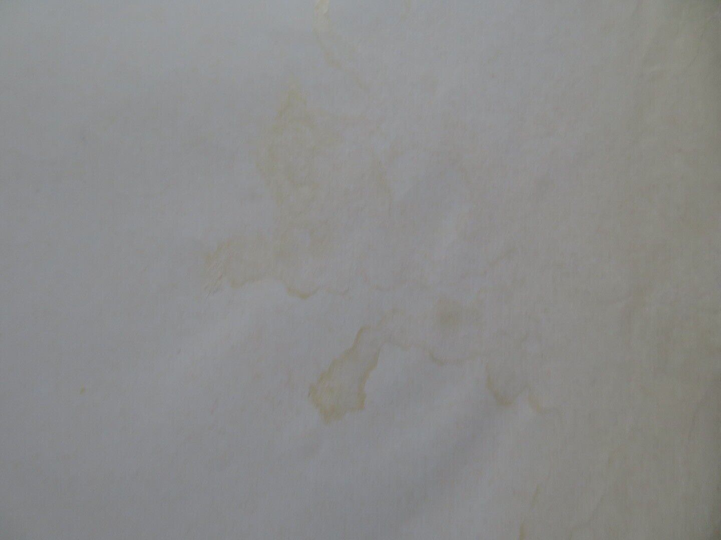 SQUADRA ANTISCIPPO ITALIAN FOGLIO ROLLED POSTER JACK PALANCE TOMAS MILIAN 1976 Movie posters