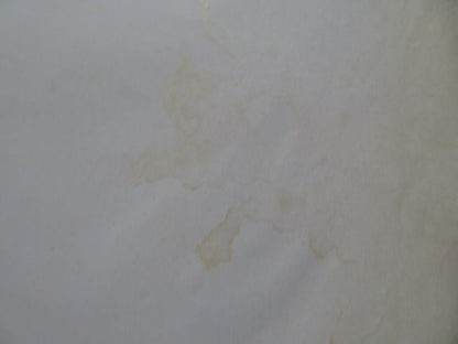 SQUADRA ANTISCIPPO ITALIAN FOGLIO ROLLED POSTER JACK PALANCE TOMAS MILIAN 1976 Movie posters