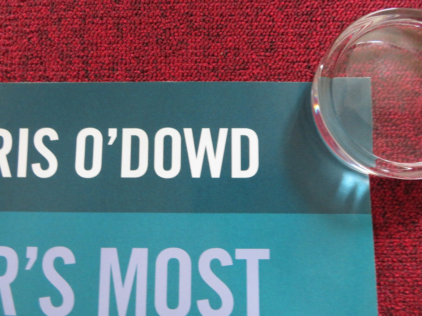 ST. VINCENT UK QUAD (30"x 40") ROLLED POSTER BILL MURRAY NAOMI WATTS 2014 Rendezvous Cinema Movie posters