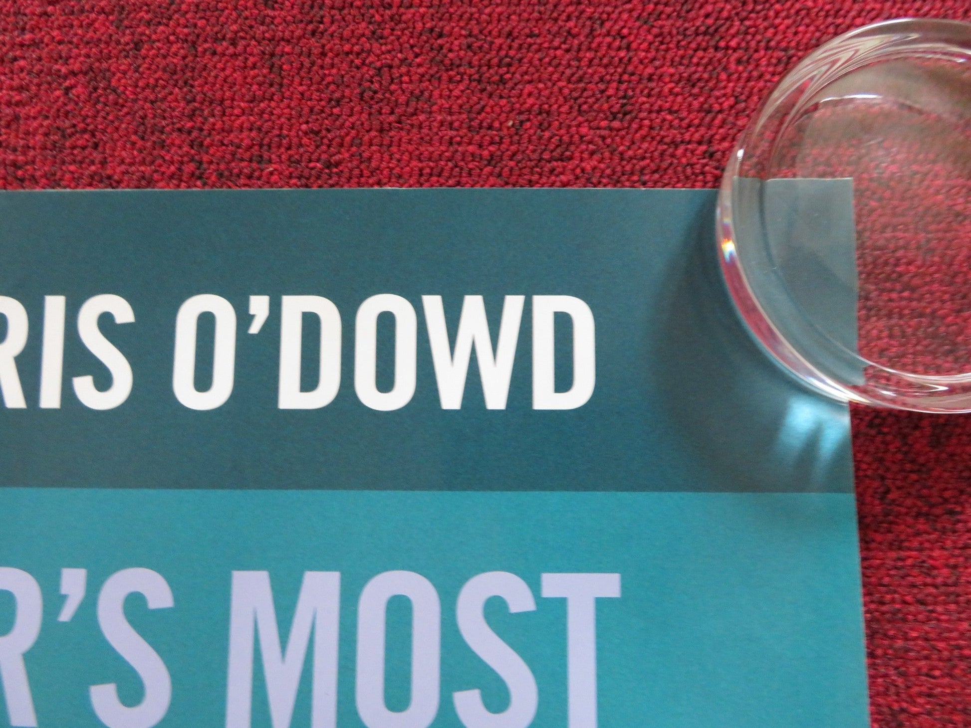 ST. VINCENT UK QUAD (30"x 40") ROLLED POSTER BILL MURRAY NAOMI WATTS 2014 Rendezvous Cinema Movie posters