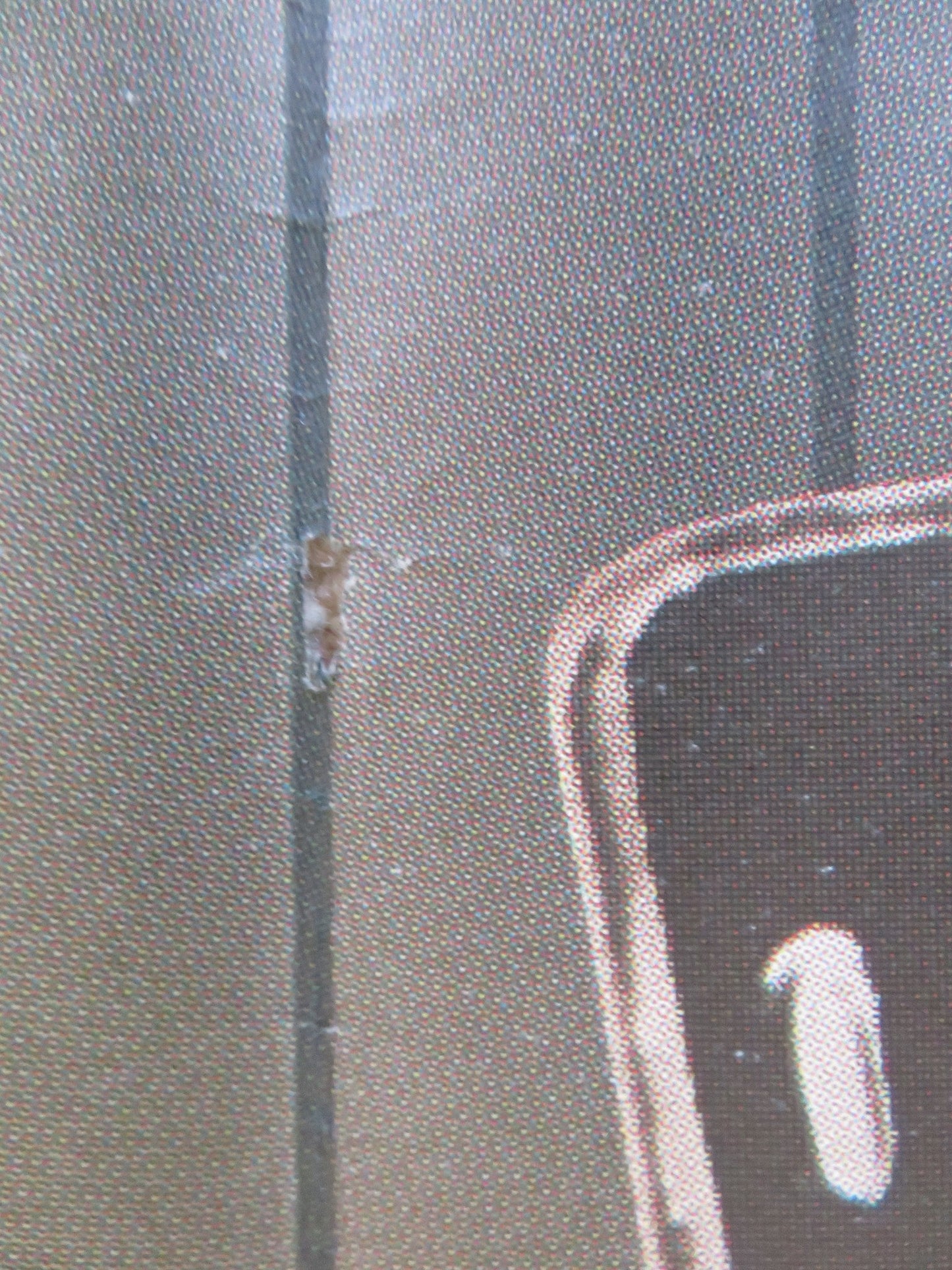 STAR 80 ITALIAN 2 FOGLIO POSTER MARIEL HEMINGWAY ERIC ROBERTS 1983 Rendezvous Cinema Movie posters