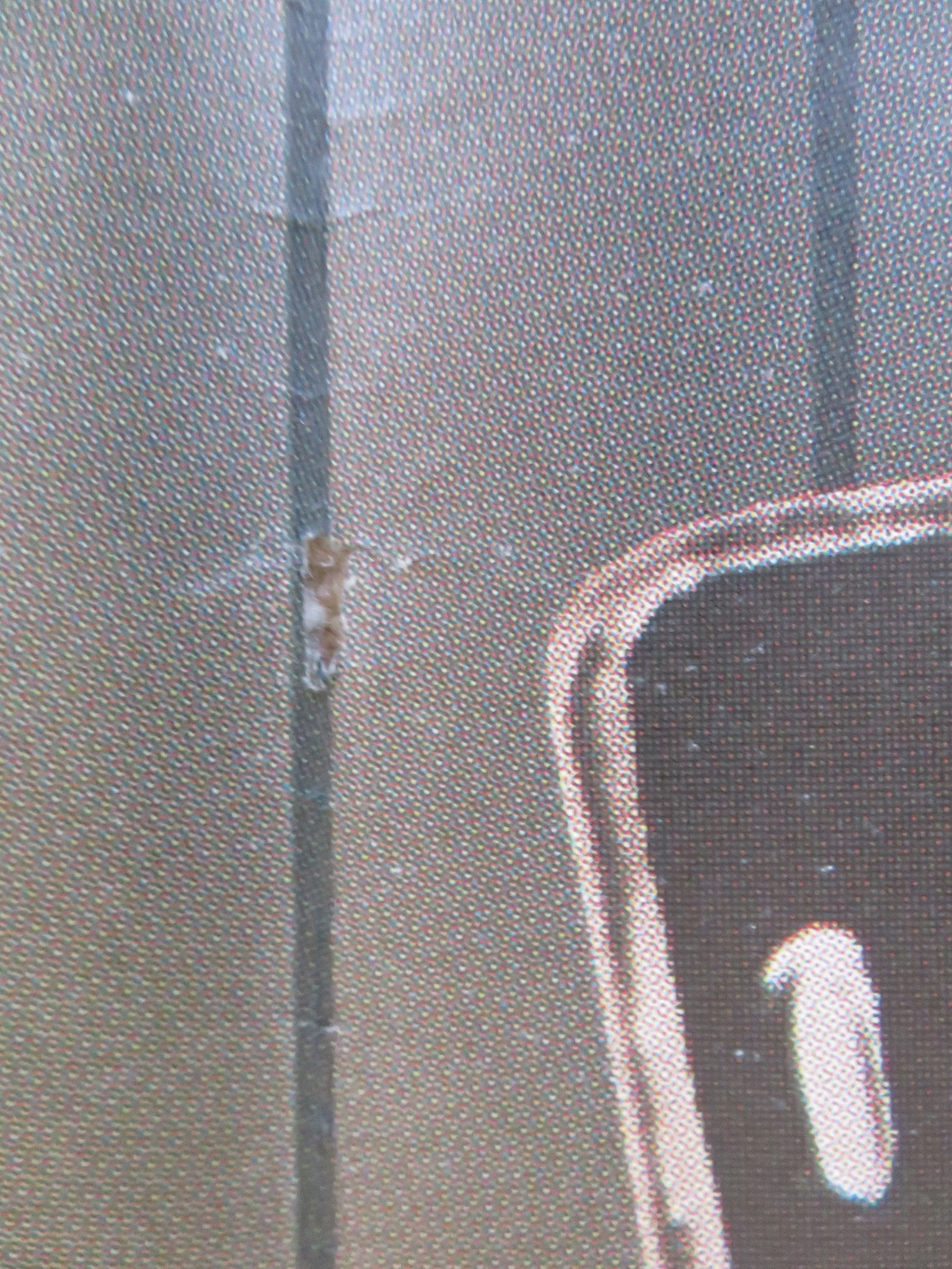 STAR 80 ITALIAN 2 FOGLIO POSTER MARIEL HEMINGWAY ERIC ROBERTS 1983 Rendezvous Cinema Movie posters