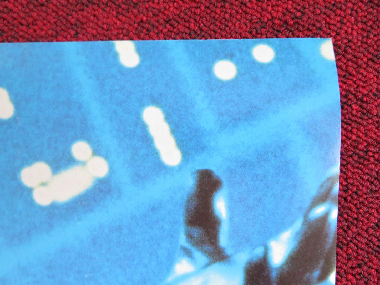 STAR WARS TRILOGY VHS VIDEO POSTER MARK HAMILL HARRISON FORD 2000 Rendezvous Cinema Movie posters