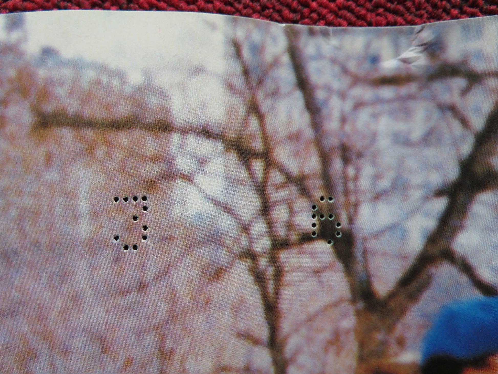 STAR'S LOVERS - D ITALIAN FOTOBUSTA POSTER NASTASSIA KINSKI HARVEY KEITEL 1983 Rendezvous Cinema Movie posters