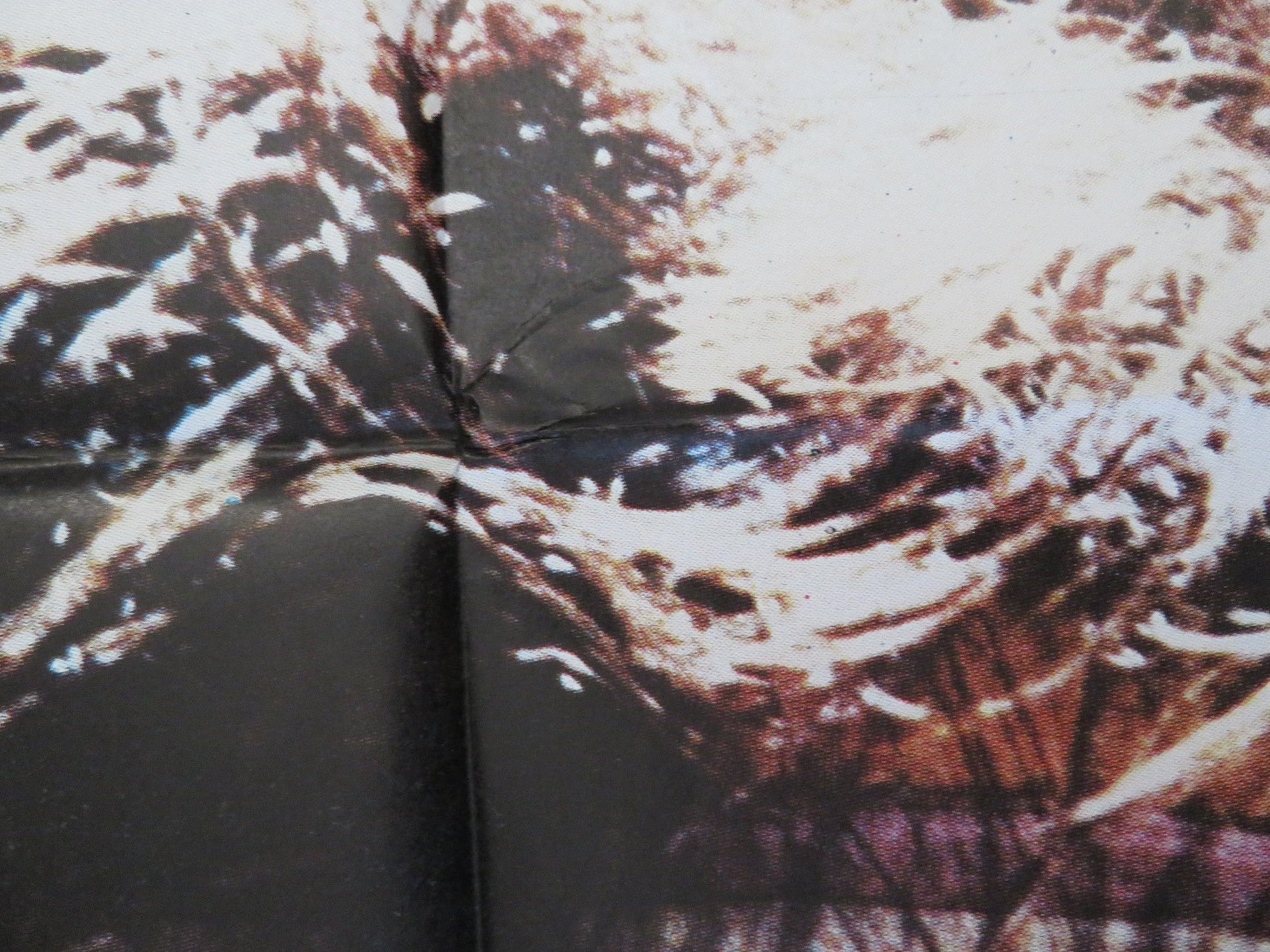 STAYING ALIVE ITALIAN 2 FOGLIO POSTER JOHN TRAVOLTA CYNTHIA RHODES 1983 Rendezvous Cinema Movie posters