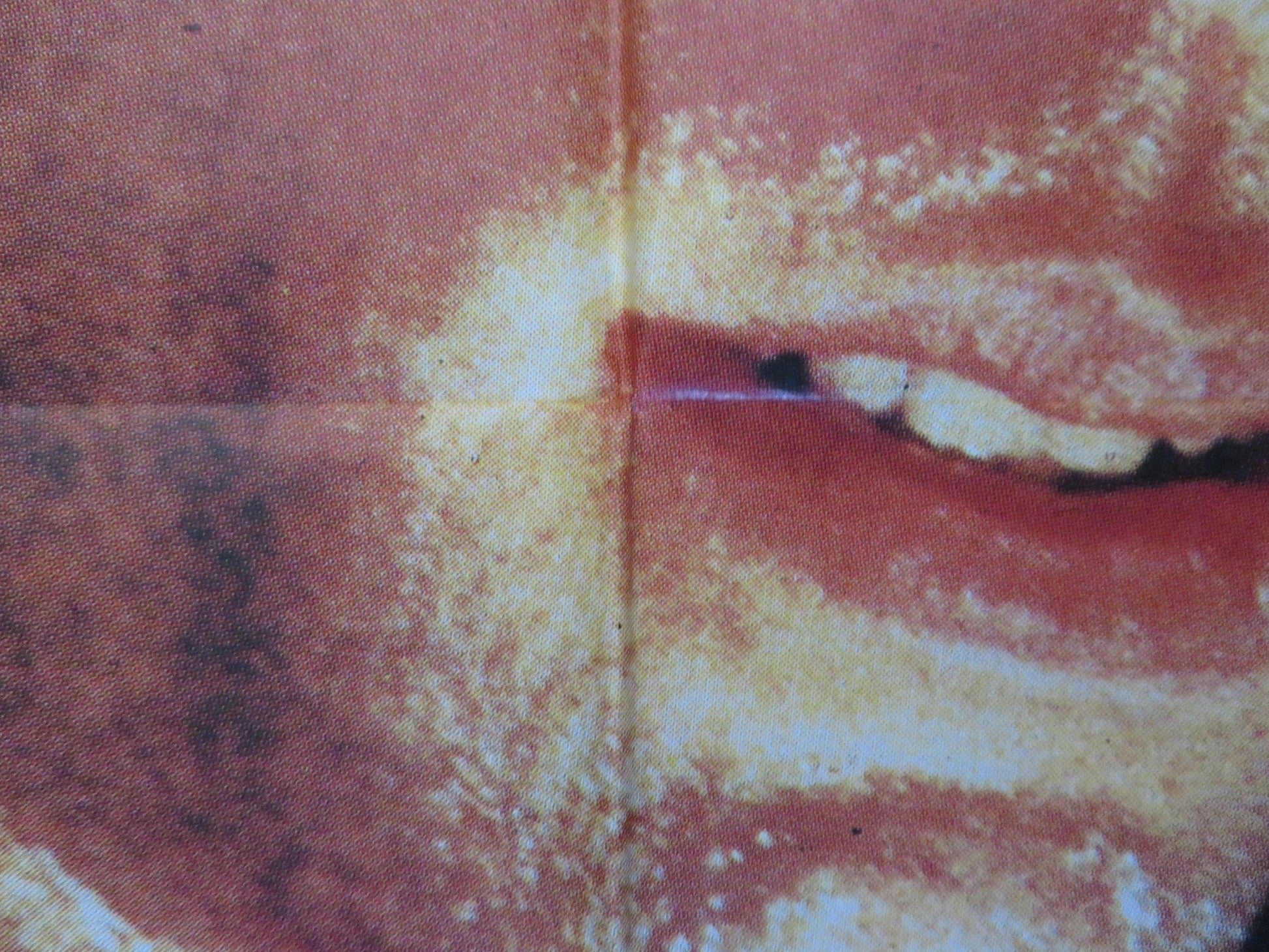 STAYING ALIVE ITALIAN 2 FOGLIO POSTER JOHN TRAVOLTA CYNTHIA RHODES 1983 Rendezvous Cinema Movie posters