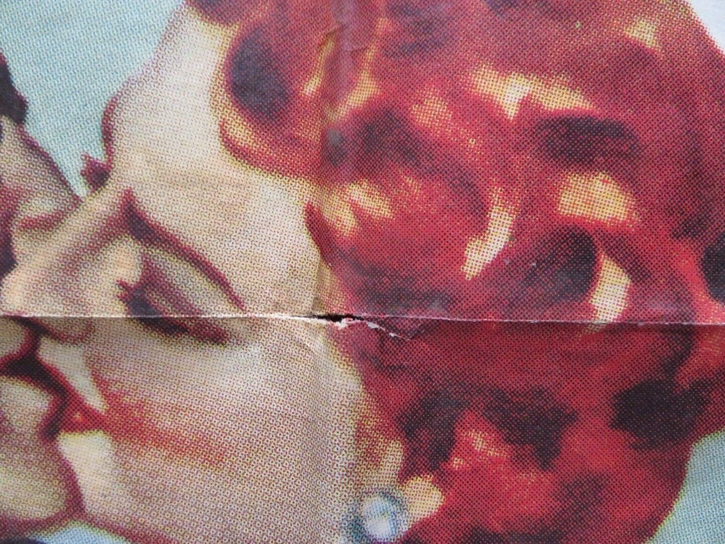 STELLA FOLDED U.S ONE SHEET POSTER ANN SHERIDAN VICTOR MATURE 1950 - Rendezvous Cinema