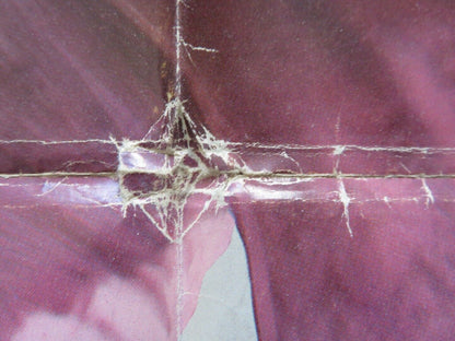 STIGMA FOLDED US ONE SHEET POSTER PHILIP MICHAEL THOMAS HARLAN POE 1972 - Rendezvous Cinema