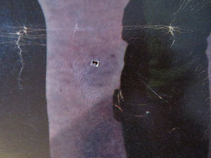 STOP, YOU'RE KILLING ME ITALIAN FOTOBUSTA POSTER BRODERICK CRAWFORD 1952 Rendezvous Cinema Movie posters