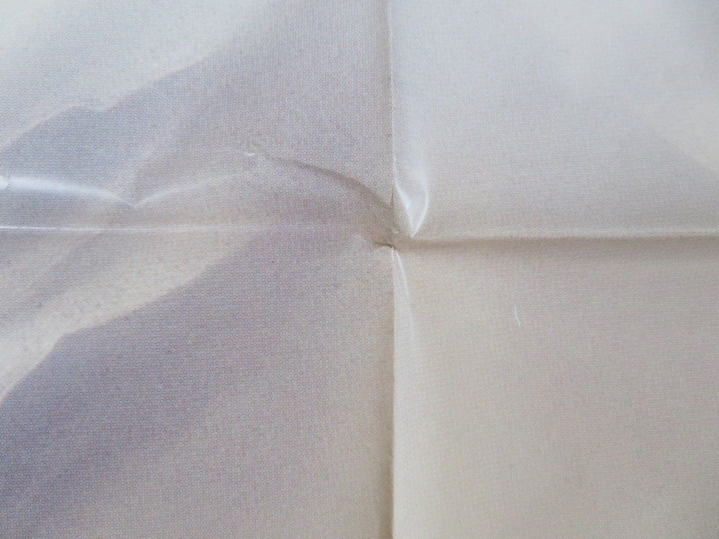 STORIA DI UNA CAPINERA ITALIAN 2 FOGLIO POSTER ANGELA BETTIS J.SCHAECH 1993 Rendezvous Cinema Movie posters