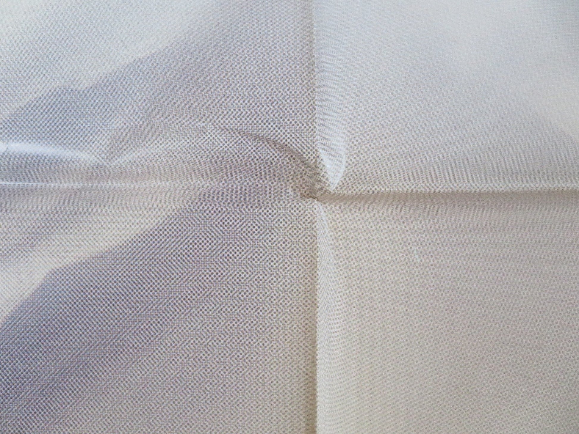 STORIA DI UNA CAPINERA ITALIAN 2 FOGLIO POSTER ANGELA BETTIS J.SCHAECH 1993 Rendezvous Cinema Movie posters