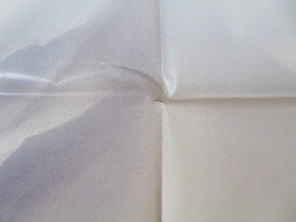 STORIA DI UNA CAPINERA ITALIAN 2 FOGLIO POSTER ANGELA BETTIS J.SCHAECH 1993 Rendezvous Cinema Movie posters