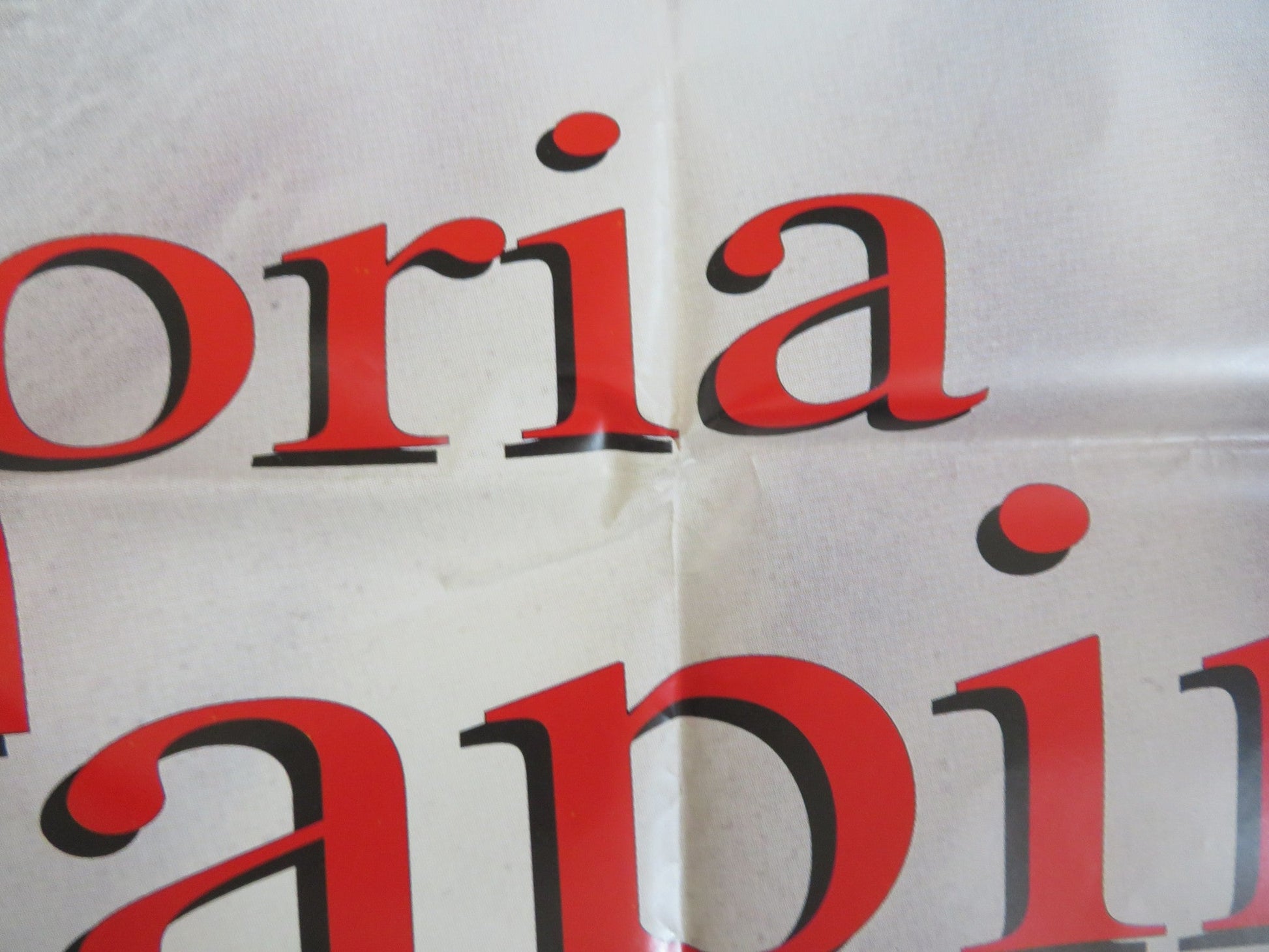 STORIA DI UNA CAPINERA ITALIAN 2 FOGLIO POSTER ANGELA BETTIS J.SCHAECH 1993 Rendezvous Cinema Movie posters