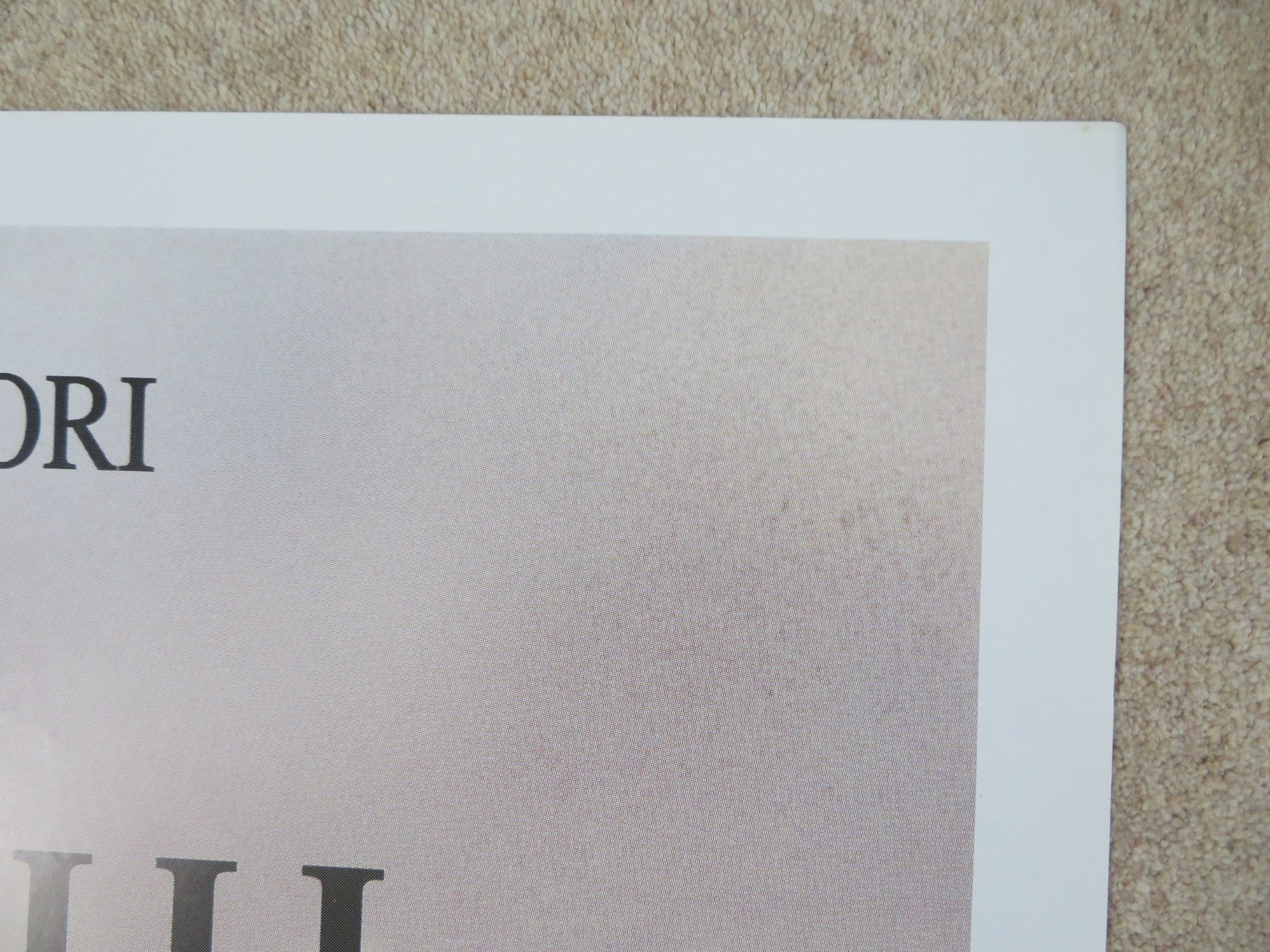 STORIA DI UNA CAPINERA ITALIAN 2 FOGLIO POSTER ANGELA BETTIS J.SCHAECH 1993 Rendezvous Cinema Movie posters