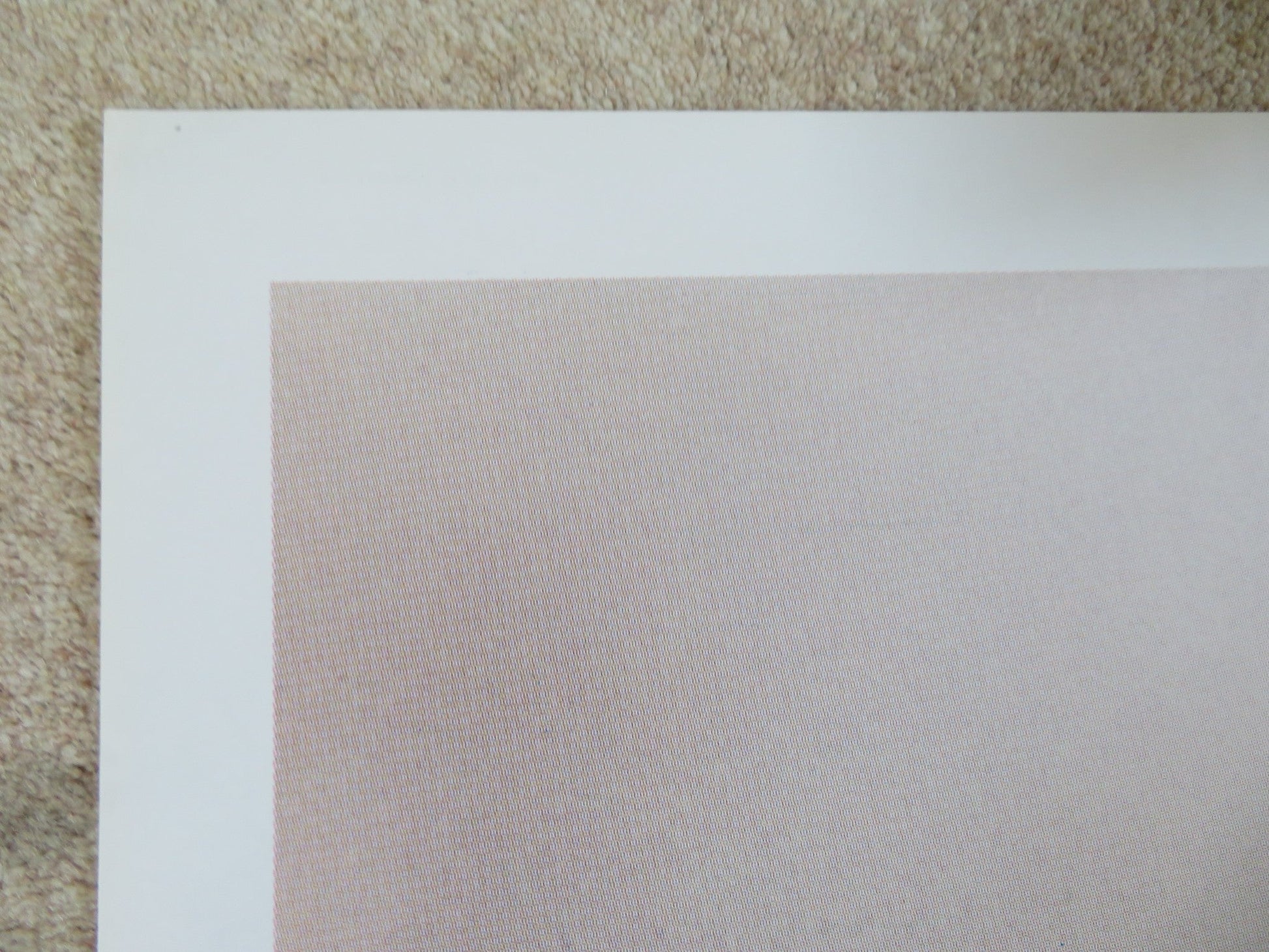 STORIA DI UNA CAPINERA ITALIAN 2 FOGLIO POSTER ANGELA BETTIS J.SCHAECH 1993 Rendezvous Cinema Movie posters