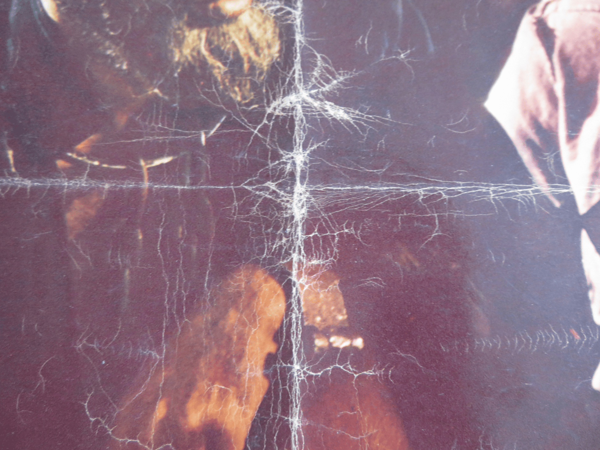 STORM OVER THE NILE ITALIAN FOTOBUSTA POSTER ANTHONY STEEL LAURENCE H.JAMES 1955 Rendezvous Cinema Movie posters