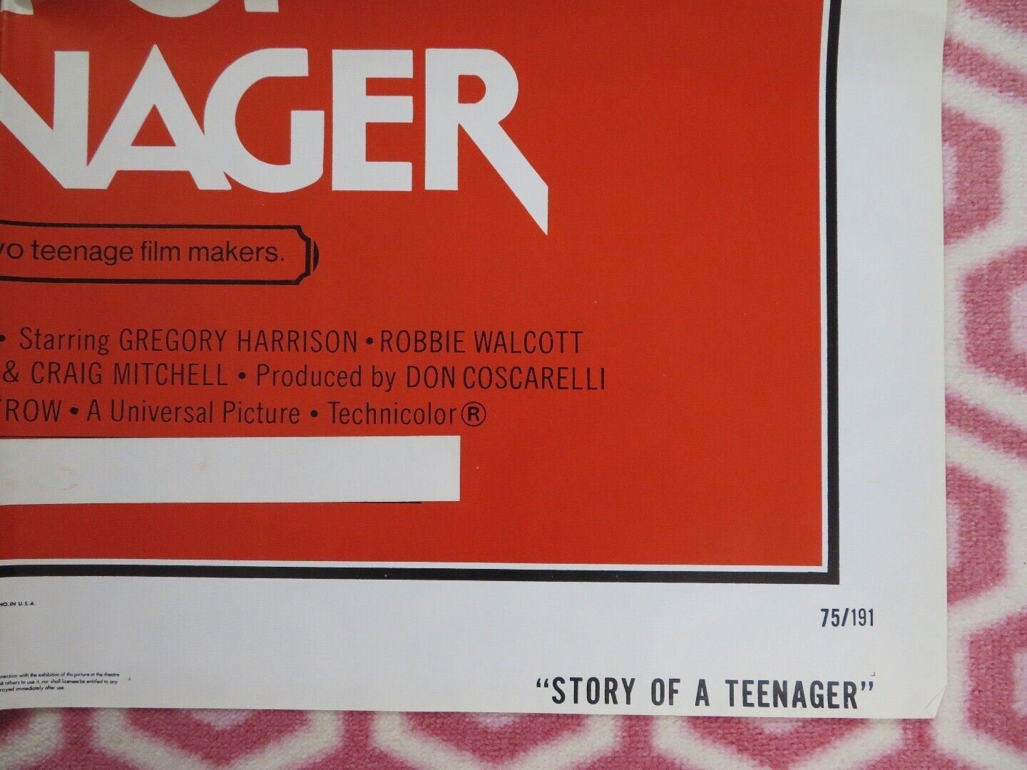 STORY OF A TEENAGER / Jim the World's Greatest US ONE SHEET POSTER 1975 - Rendezvous Cinema