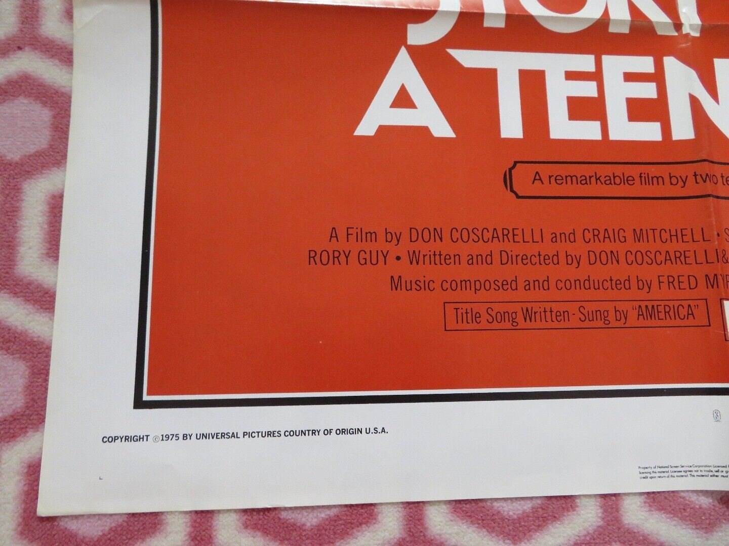 STORY OF A TEENAGER / Jim the World's Greatest US ONE SHEET POSTER 1975 - Rendezvous Cinema