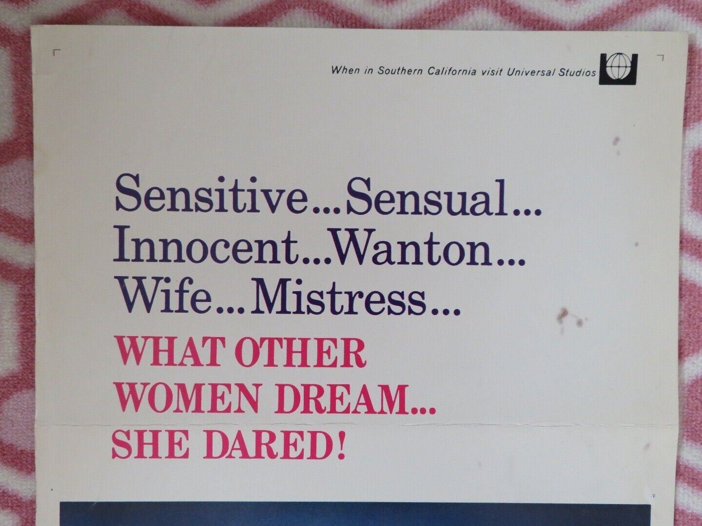 STORY OF A WOMAN US INSERT (14"x 36") POSTER BIBI ANDERSON 1969 Movie posters