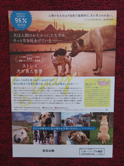 STRAY JAPANESE CHIRASHI (B5) POSTER ZEYTIN NAZAR 2020 Rendezvous Cinema Movie posters