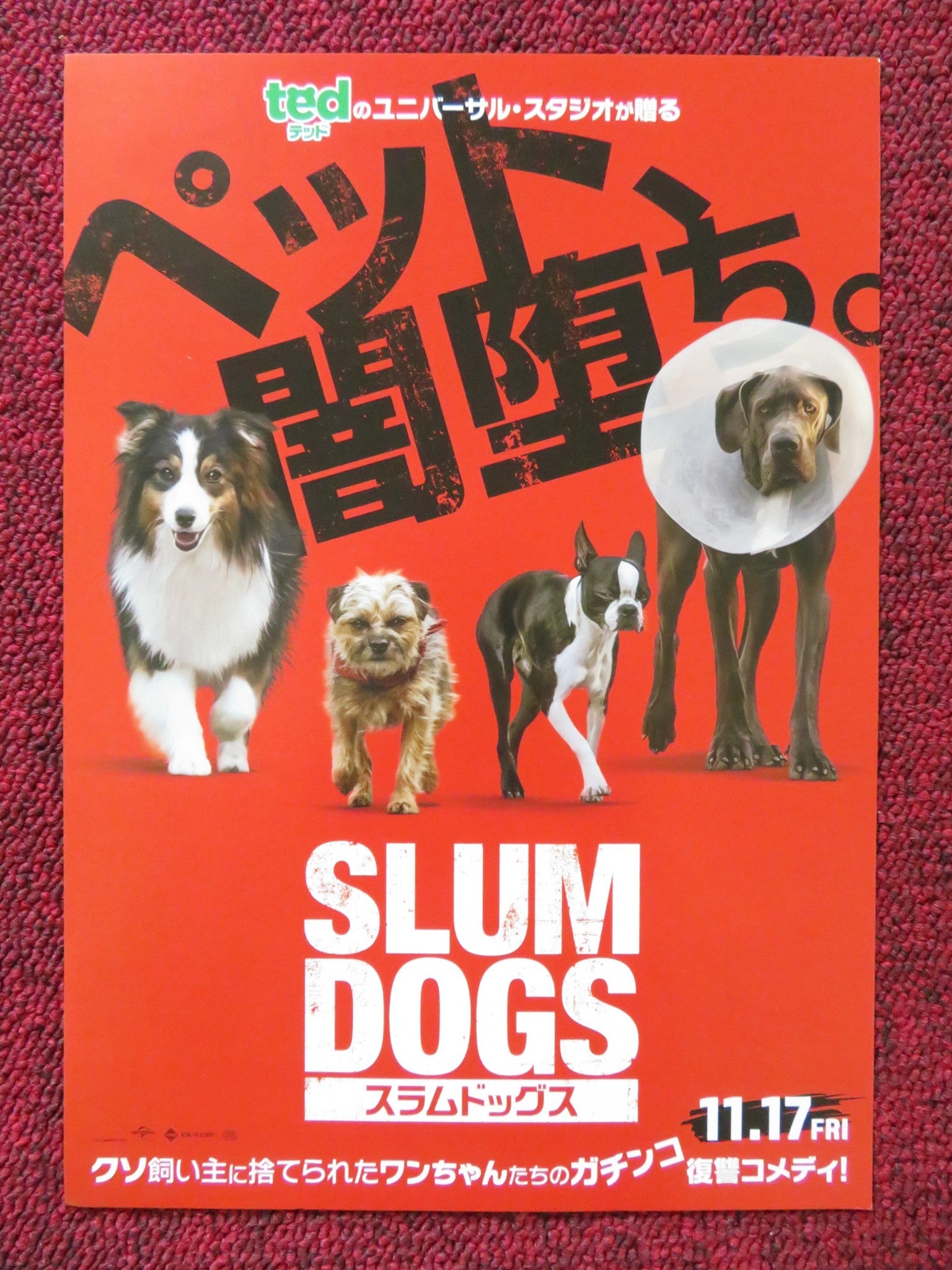 STRAYS / SLUM DOGS JAPANESE CHIRASHI (B5) POSTER WILL FERRELL JAMIE FOXX 2023 Rendezvous Cinema Movie posters