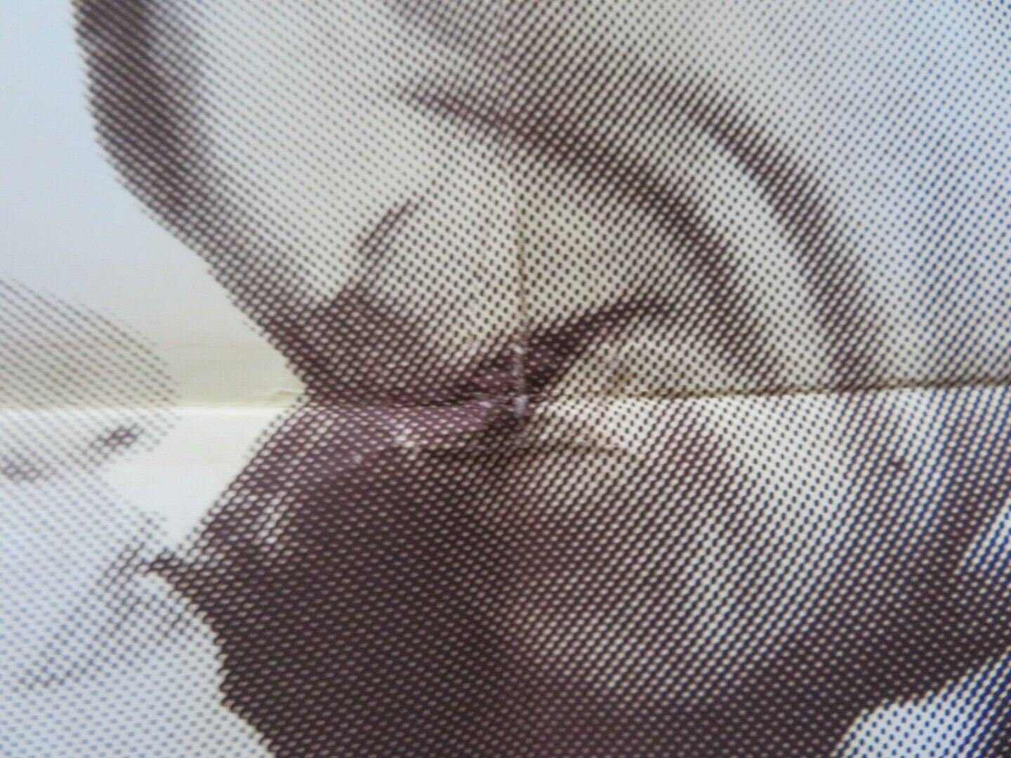 STREET MUSIC FOLDED US ONE SHEET POSTER LARRY BREEDING 1981 Movie posters