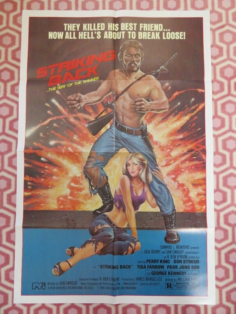STRIKING BACK / SEARCH & DESTROY US ONE SHEET POSTER P KING D STROUD 1981/1979 Movie posters