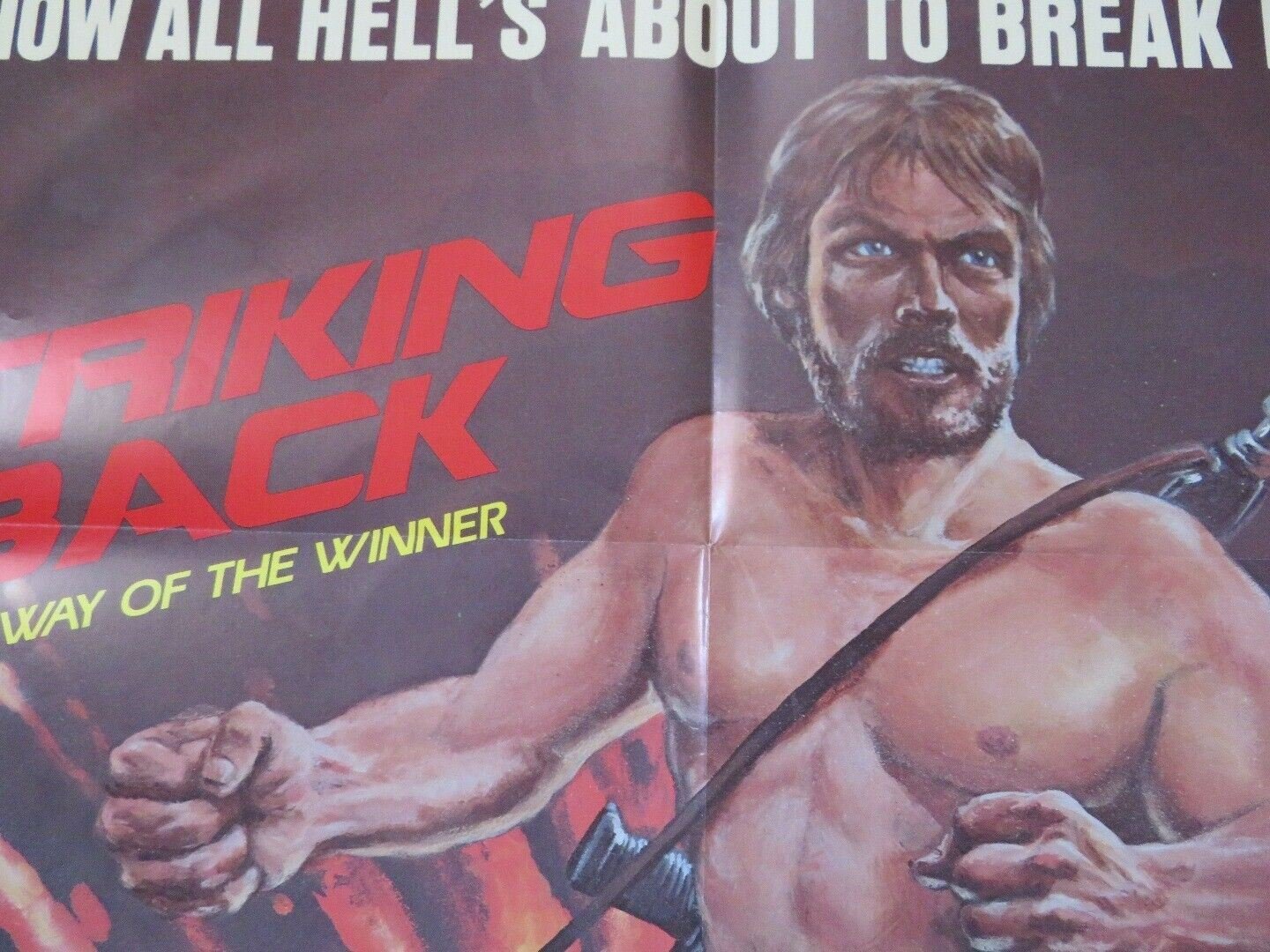 STRIKING BACK / SEARCH & DESTROY US ONE SHEET POSTER P KING D STROUD 1981/1979 Movie posters