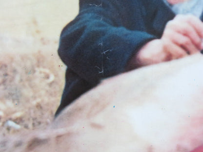 STROSZEK - B ITALIAN FOTOBUSTA POSTER BRUNO S. EVA MATTES 1977 Rendezvous Cinema Movie posters