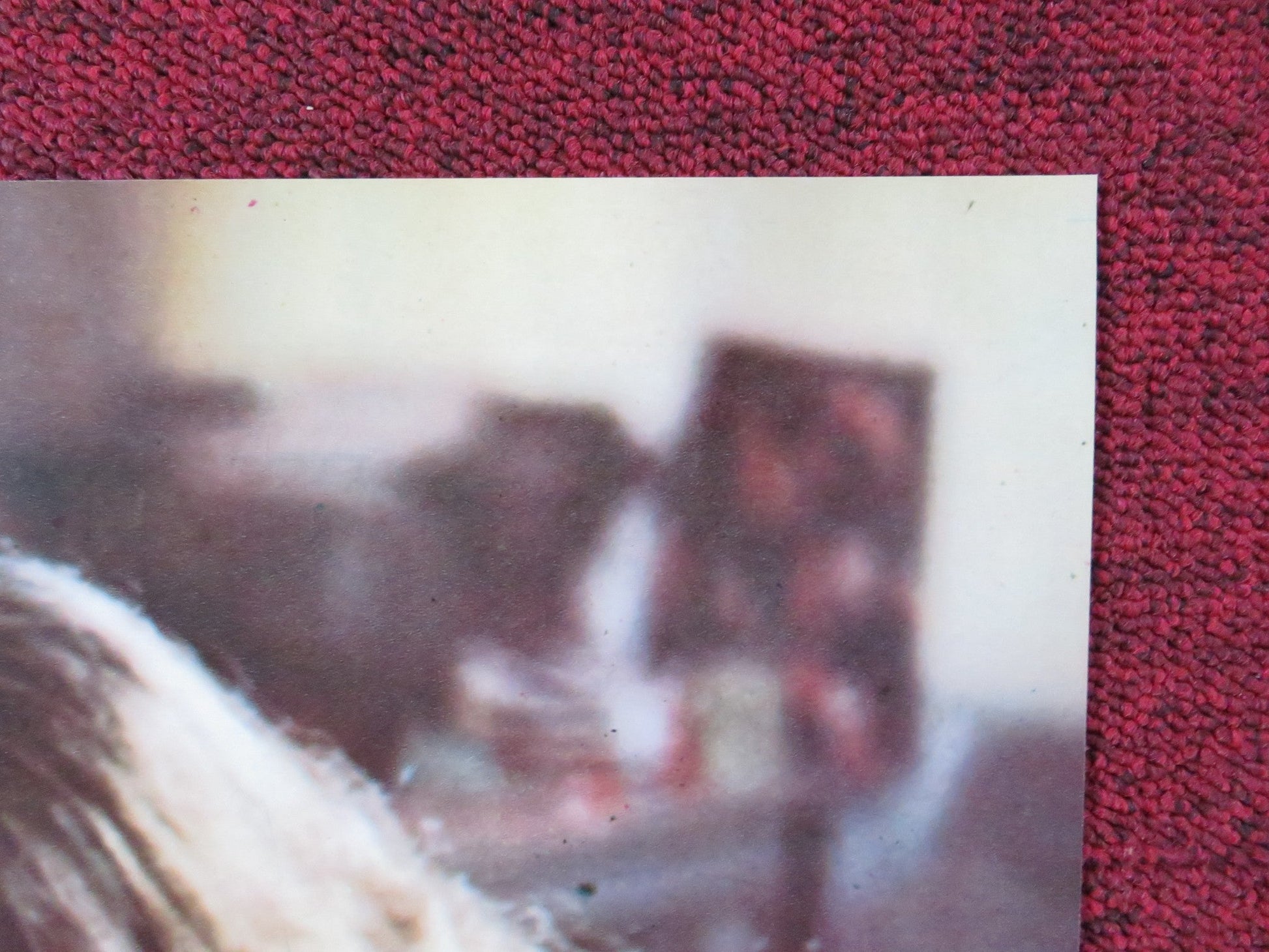 STROSZEK - C ITALIAN FOTOBUSTA POSTER BRUNO S. EVA MATTES 1977 Rendezvous Cinema Movie posters