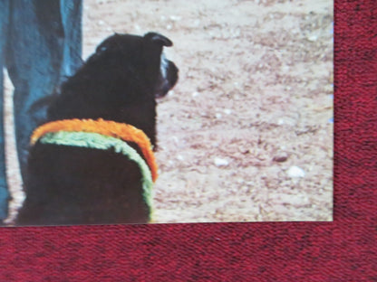 STROSZEK - F ITALIAN FOTOBUSTA POSTER BRUNO S. EVA MATTES 1977 Rendezvous Cinema Movie posters