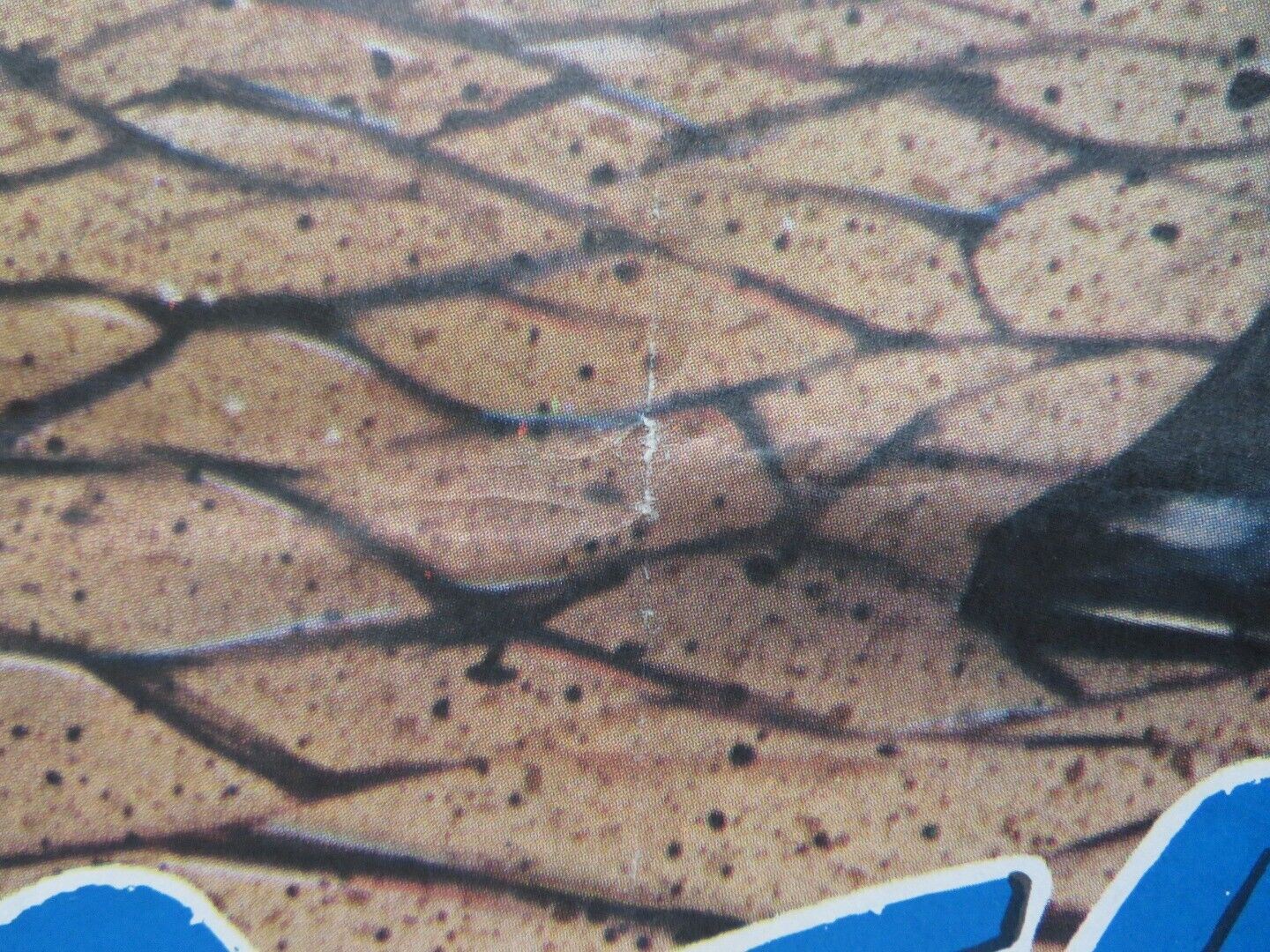 STRYKER PERSIAN ROLLED POSTER STEVE SANDOR ANDRIA SAVIO 1983 Movie posters