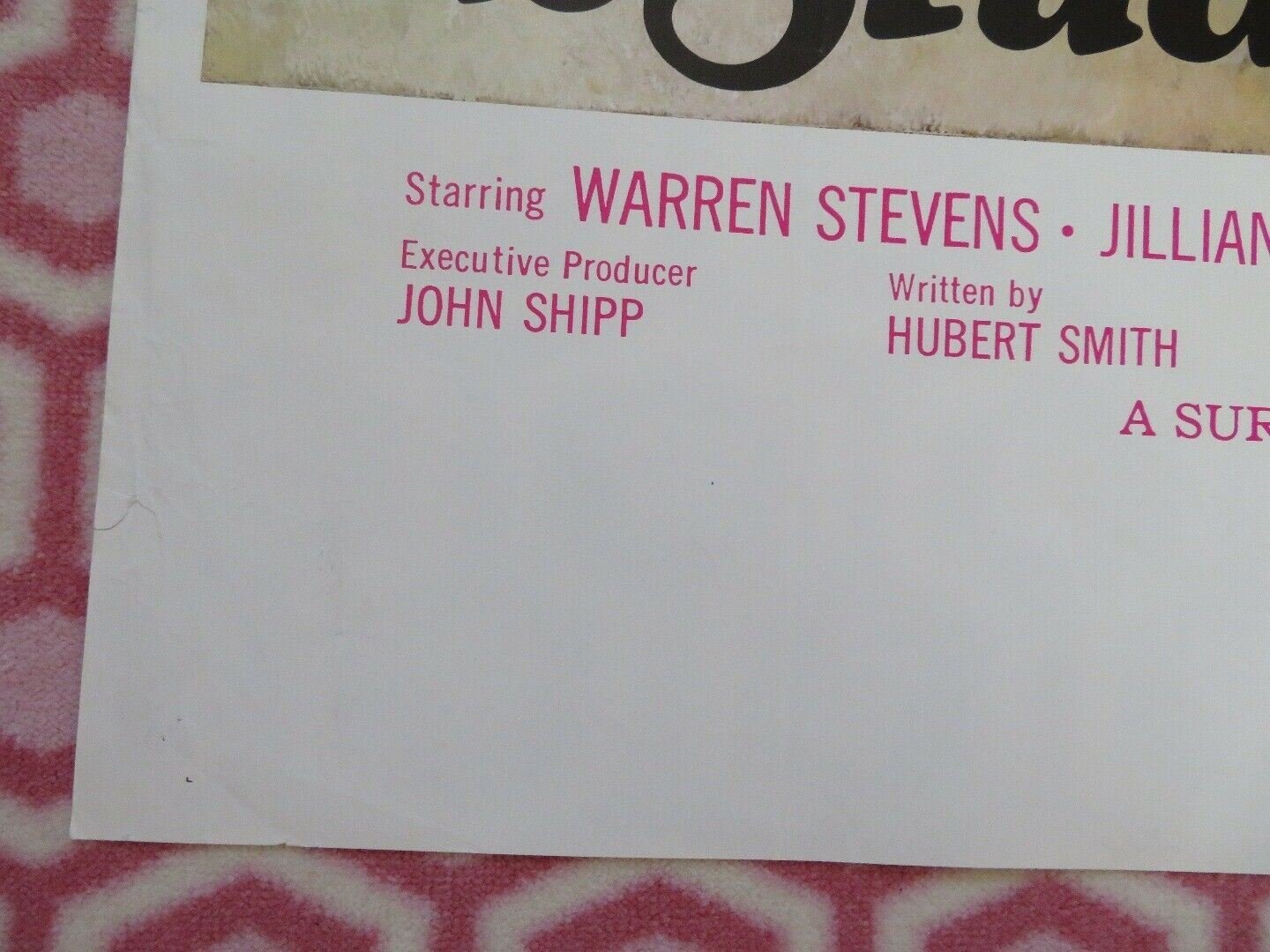 STUDENT BODY US ONE SHEET POSTER WARREN STEVEN JILLIAN KESNER 1976 Movie posters