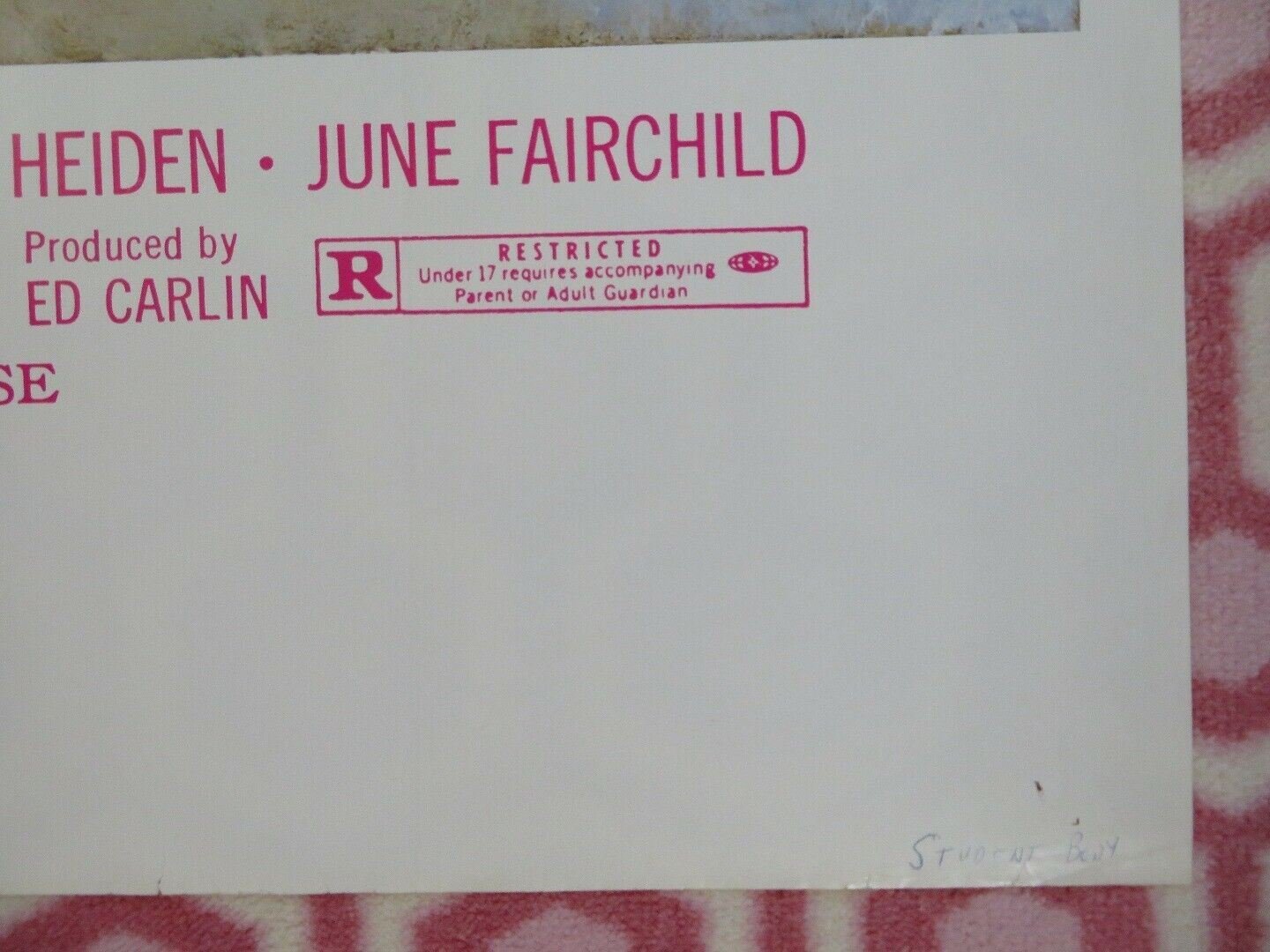 STUDENT BODY US ONE SHEET POSTER WARREN STEVEN JILLIAN KESNER 1976 Movie posters