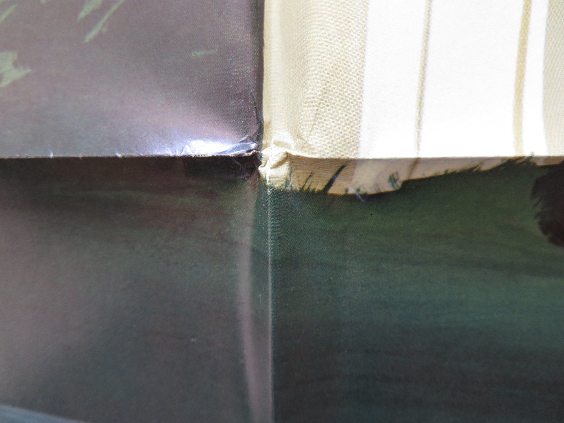 STUNT ROCK FOLDED US ONE SHEET POSTER GRANT PAGE 1980 Rendezvous Cinema Movie posters