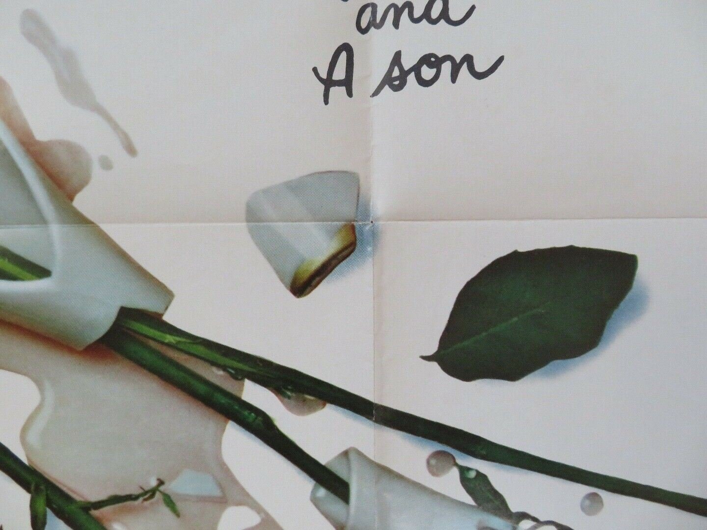 SUBJECT WAS ROSES US ONE SHEET POSTER PATRCIA NEAL JACK ALBERTSON 1968 Movie posters