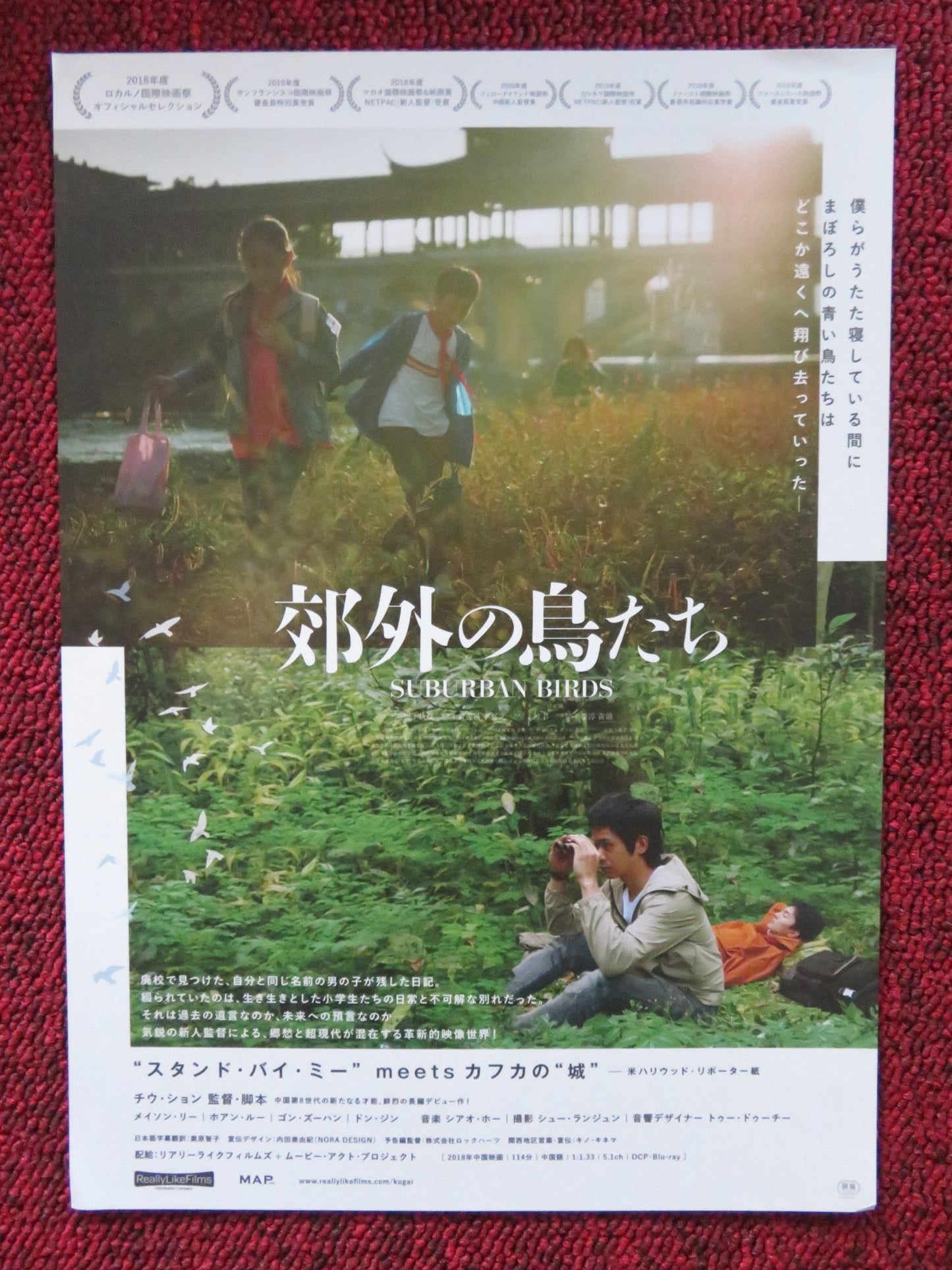 SUBURBAN BIRDS JAPANESE CHIRASHI (B5) POSTER YIHAO CHEN ZHIHAO CHEN 2018 Rendezvous Cinema Movie posters