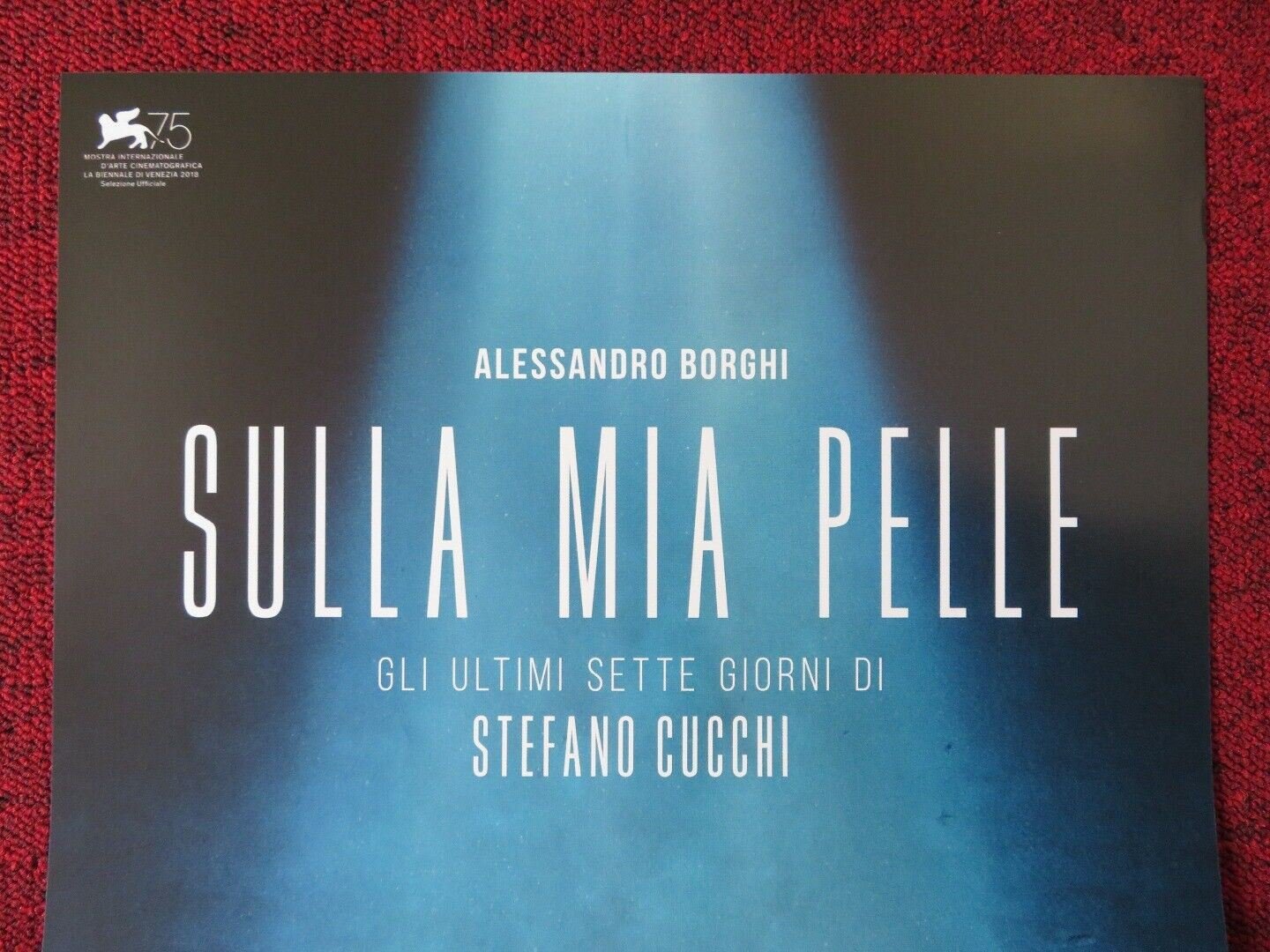 SULLA MIA PELLE ITALIAN LOCANDINA (27"x13") POSTER ALESSANDRO BORGHI 2018 Movie posters