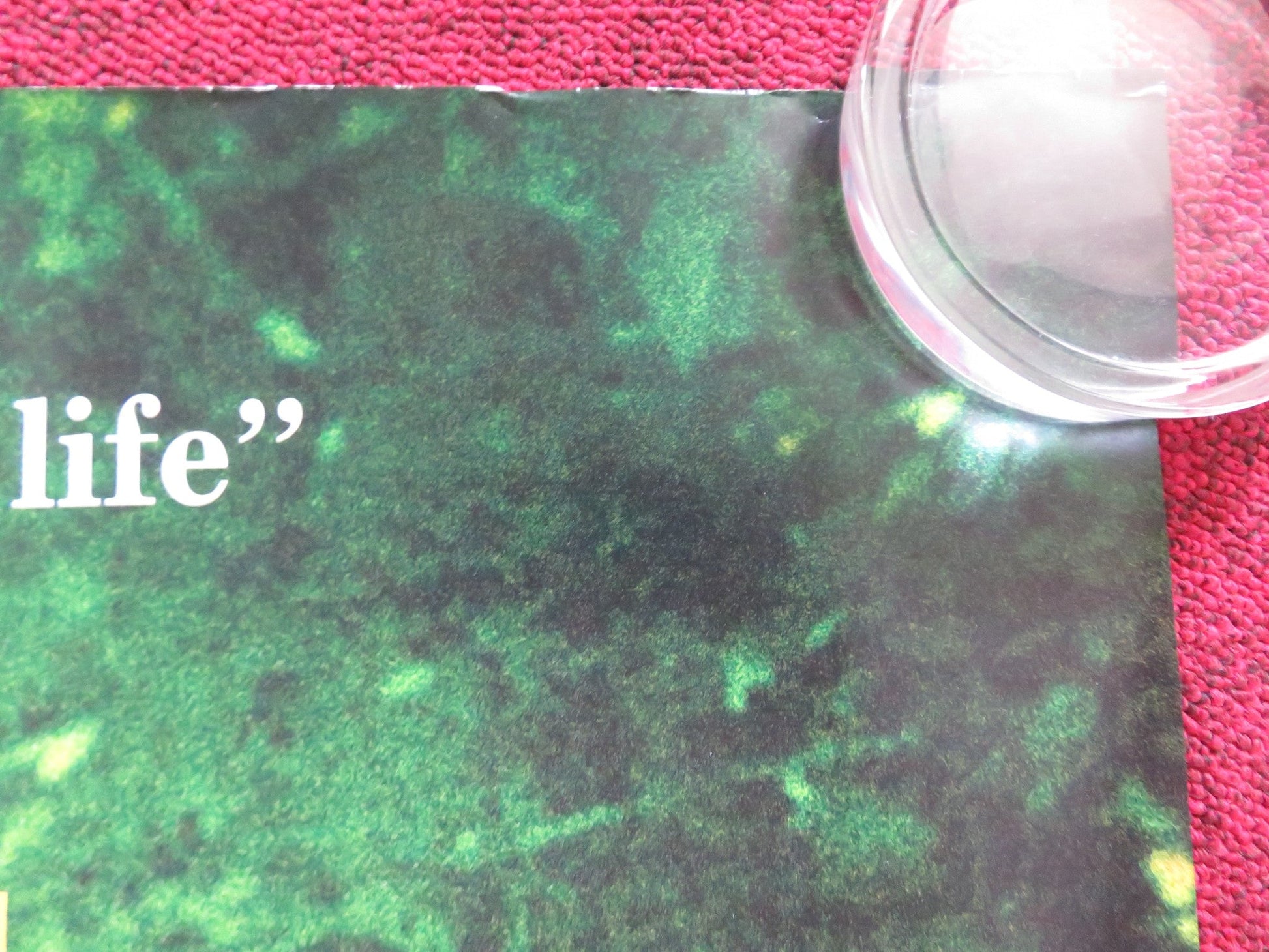 SUMMER HOURS UK QUAD (30"x 40") ROLLED POSTER JULIETTE BINOCHE C. BERLING 2008 Rendezvous Cinema Movie posters