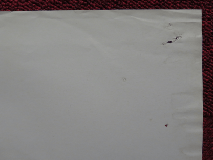 SUMMER LOVERS SUSANNA ITALIAN FOTOBUSTA POSTER RANDAL KLEISER P.ALLAGHER 1982 Rendezvous Cinema Movie posters