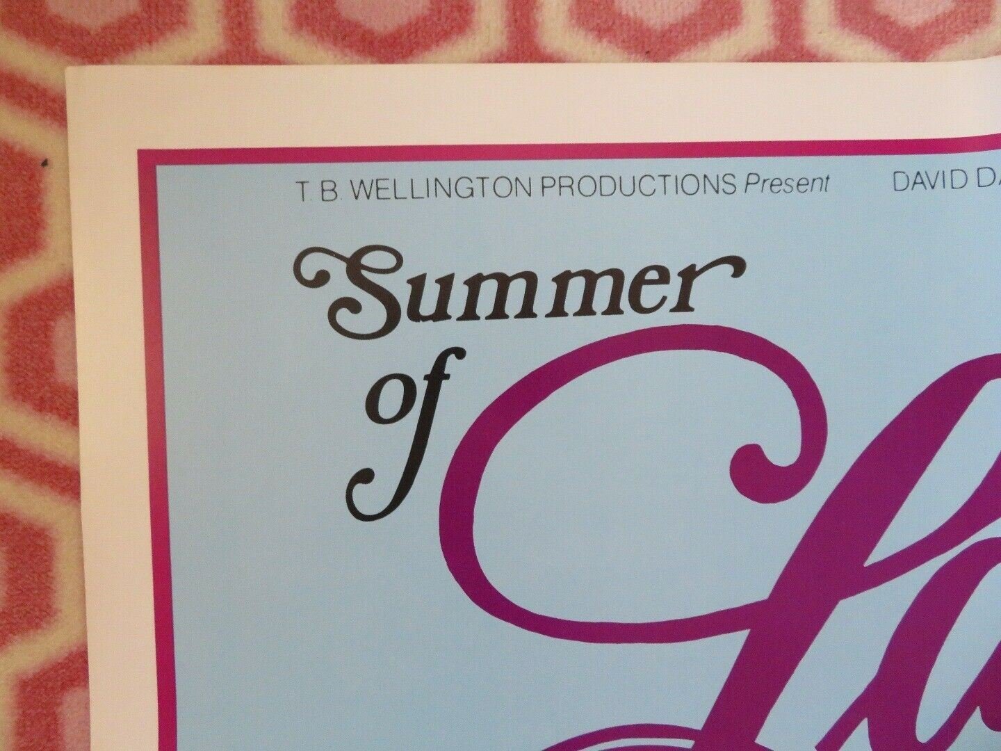 SUMMER OF LAURA US ONE SHEET POSTER MARSHA MOON DAVID HUNTER 1976 Movie posters