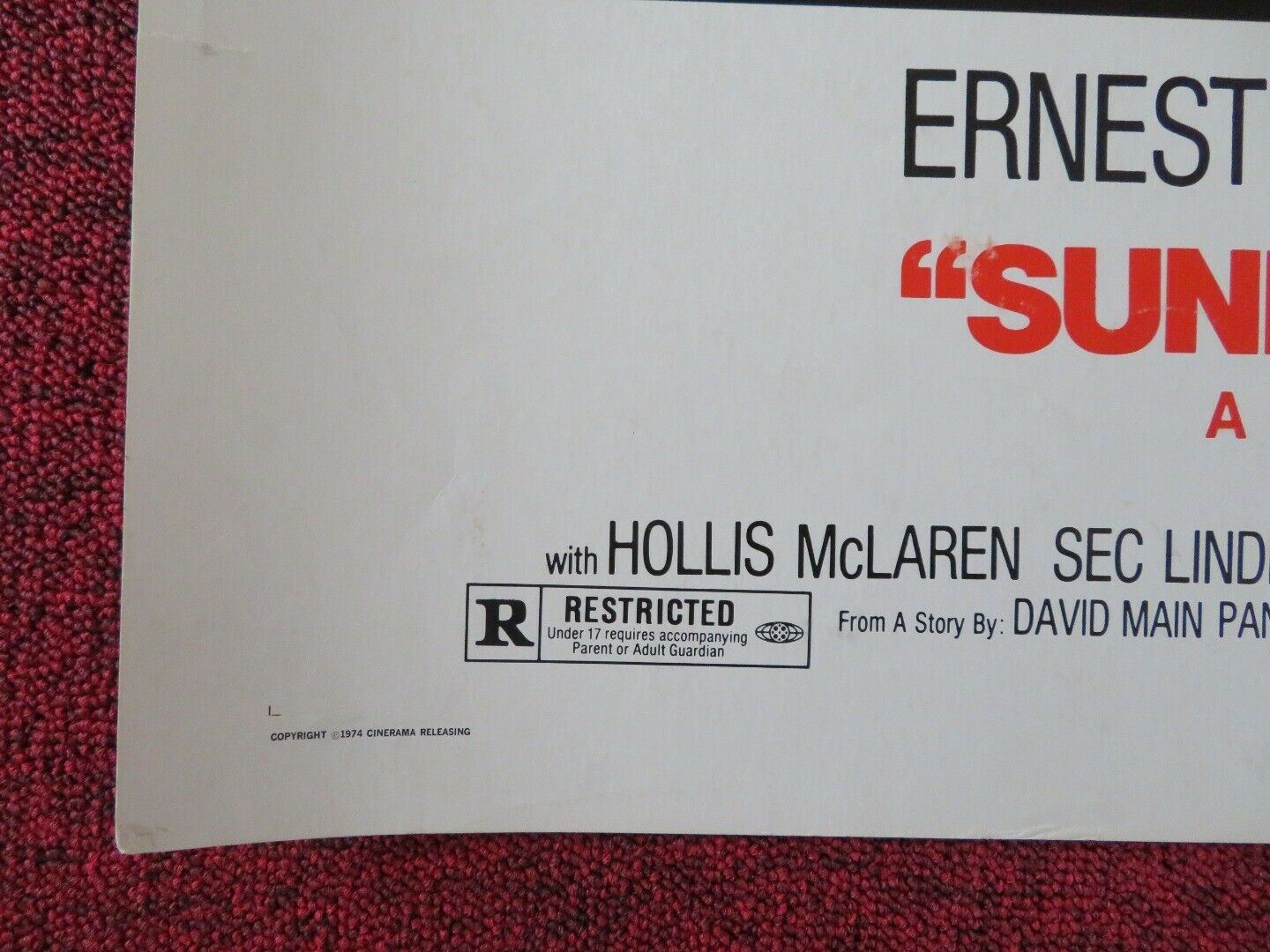 SUNDAY IN THE COUNTRY US HALF SHEET (22"x 28") POSTER ERNEST BORGNINE 1974 - Rendezvous Cinema