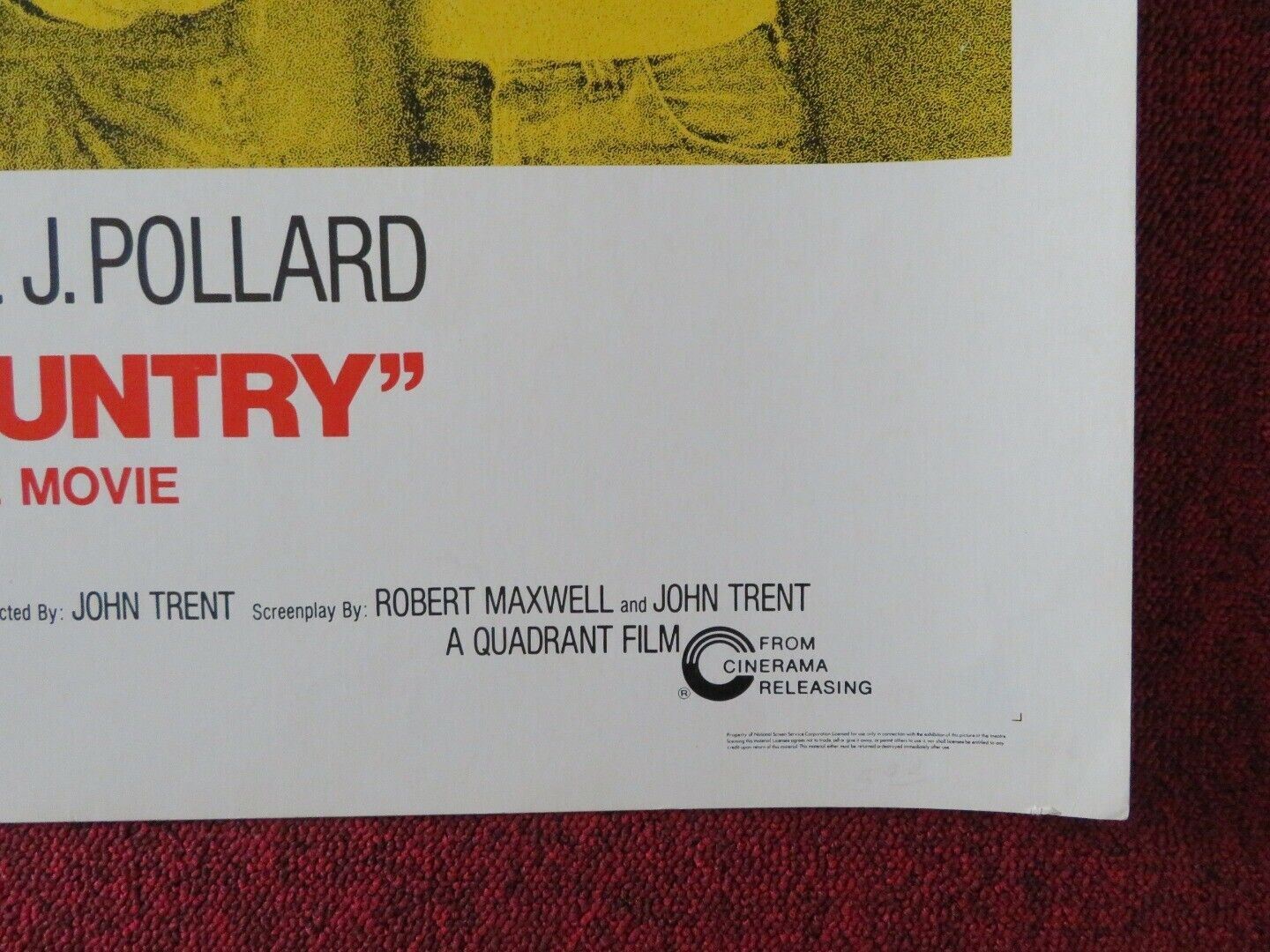 SUNDAY IN THE COUNTRY US HALF SHEET (22"x 28") POSTER ERNEST BORGNINE 1974 - Rendezvous Cinema