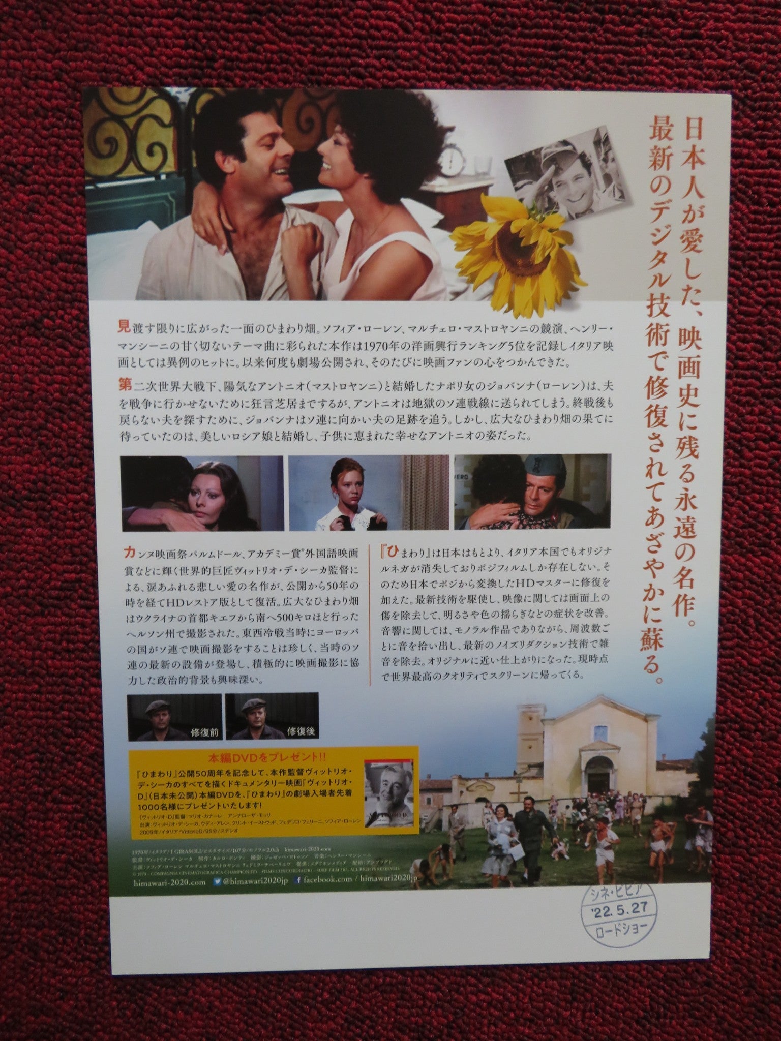 SUNFLOWER JAPANESE CHIRASHI (B5) POSTER SOPHIA LOREN MASTROIANNI 2020 1970R Rendezvous Cinema Movie posters