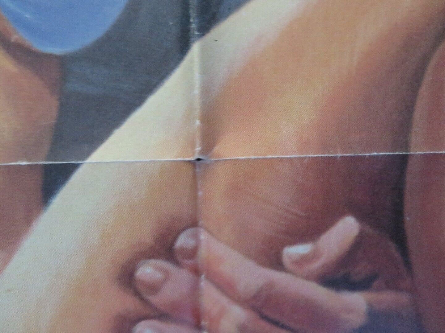 SUNSET COVE FOLDED US ONE SHEET POSTER JAY B.LARSON KAREN FREDRIK 1978 Movie posters