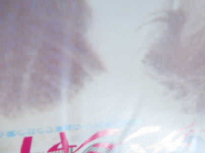 SUNSHINE JAPANESE CHIRASHI (B5) POSTER CRISTINA RAINES CLIFF DE YOUNG 1973 Rendezvous Cinema Movie posters