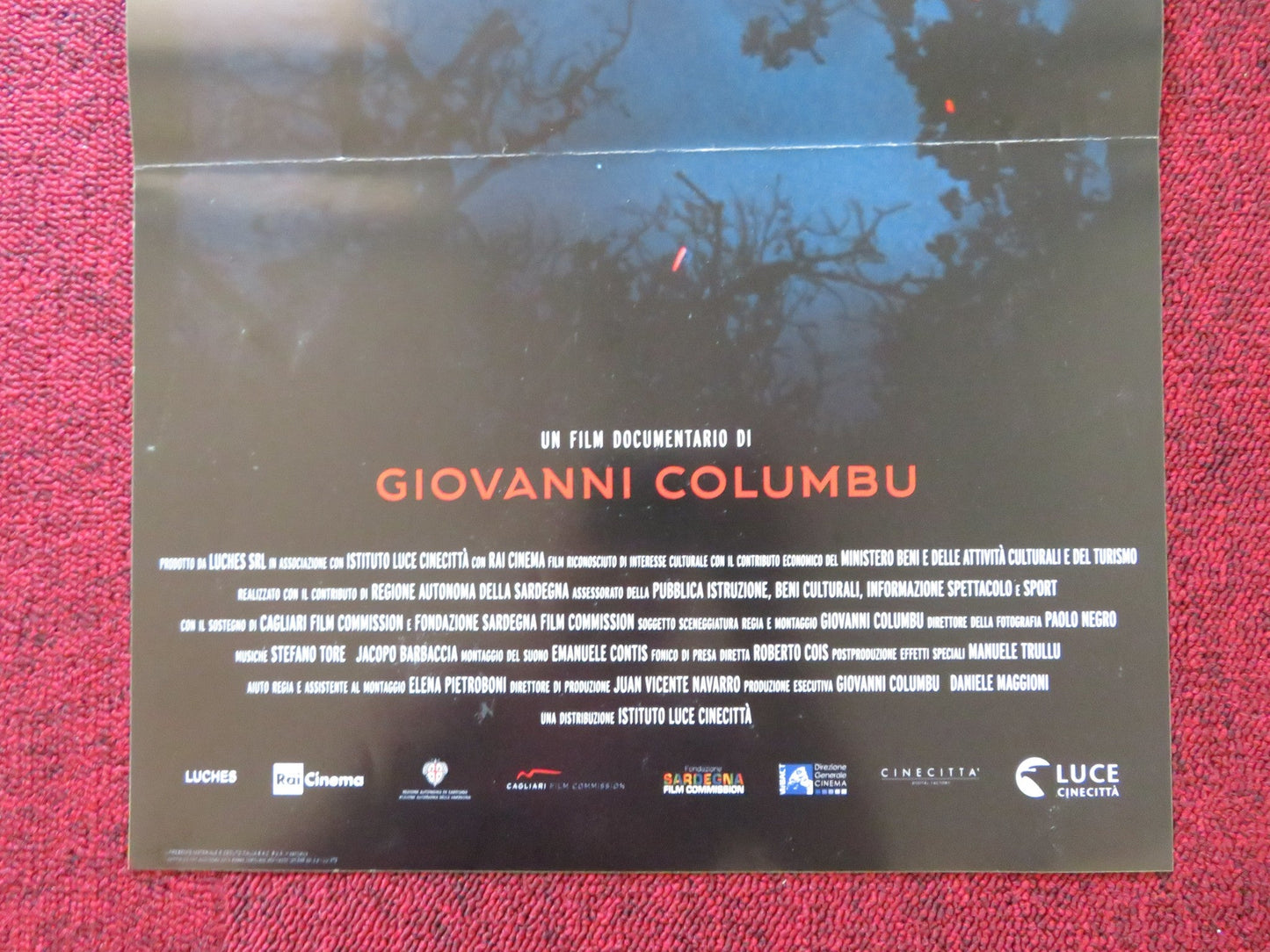 SURBILES ITALIAN LOCANDINA POSTER GIOVANNI COLUMBU 2017 Rendezvous Cinema Movie posters